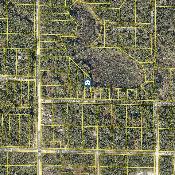 LOT 37 SOAP STONE ST, WEBSTER, FL, 33597