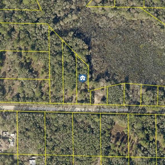 LOT 37 SOAP STONE ST, WEBSTER, FL, 33597