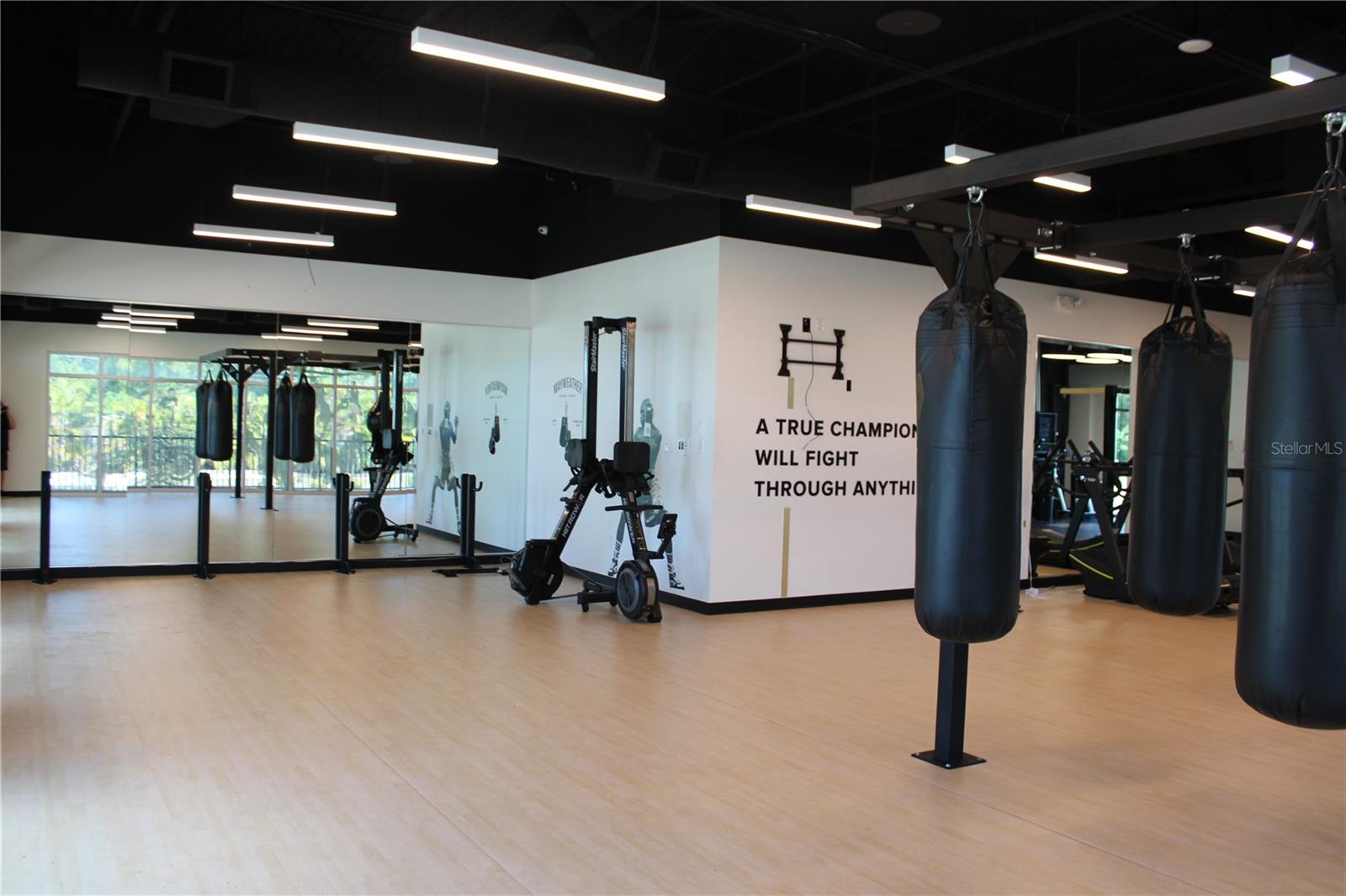 2076 SEMINOLE BLVD #D, LARGO, FL, 33778