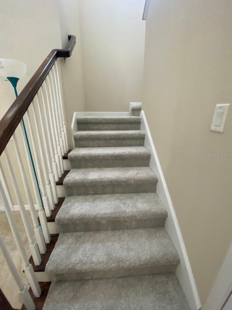 8838 CITRUS PALM DR, TAMPA, FL, 33626