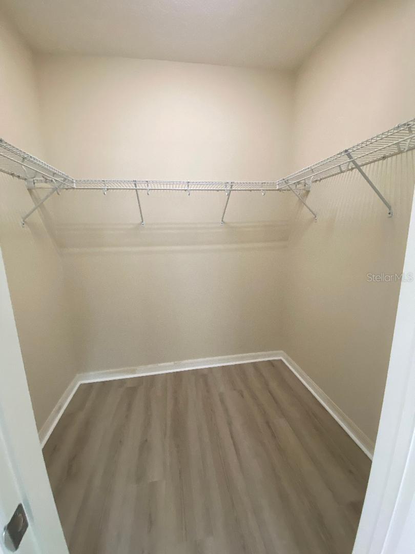 8838 CITRUS PALM DR, TAMPA, FL, 33626