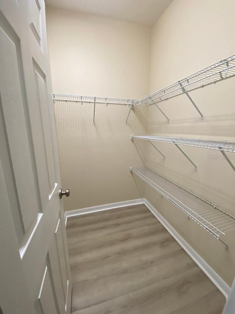 8838 CITRUS PALM DR, TAMPA, FL, 33626