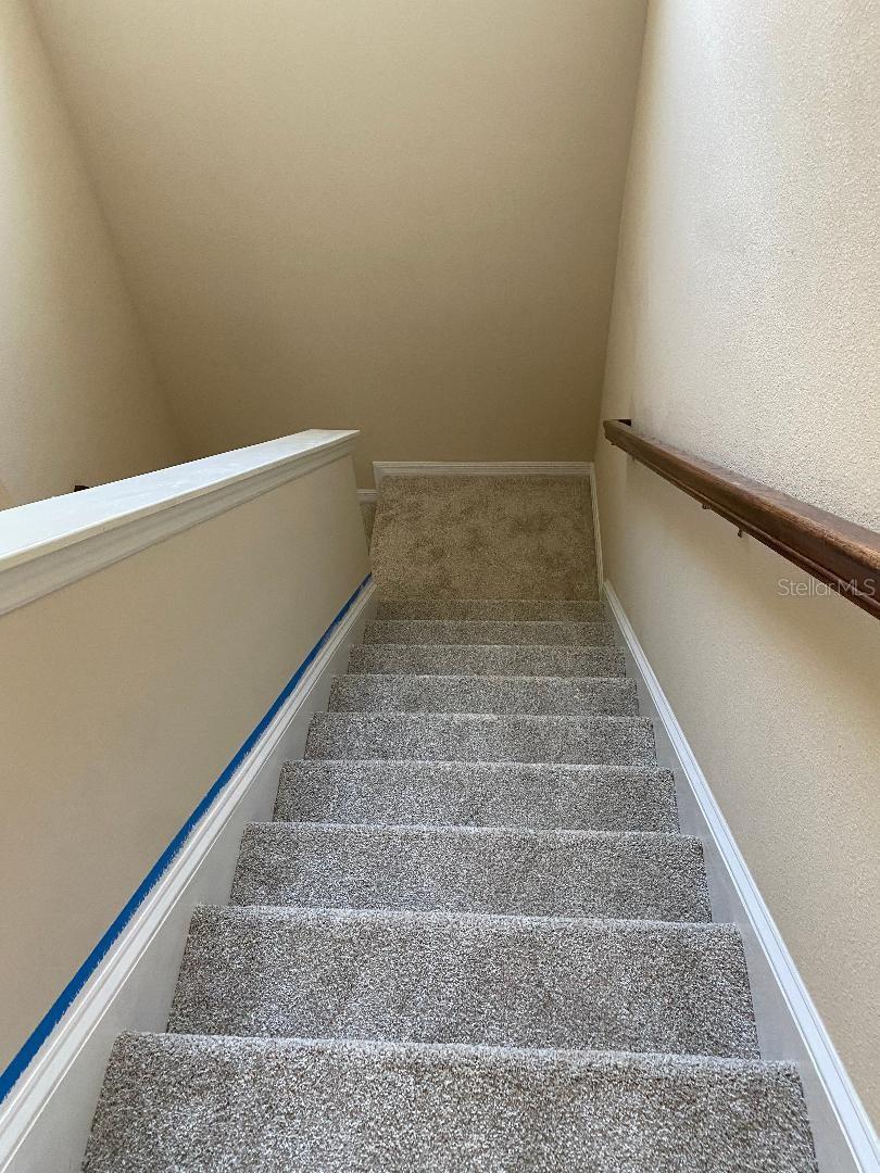 8838 CITRUS PALM DR, TAMPA, FL, 33626