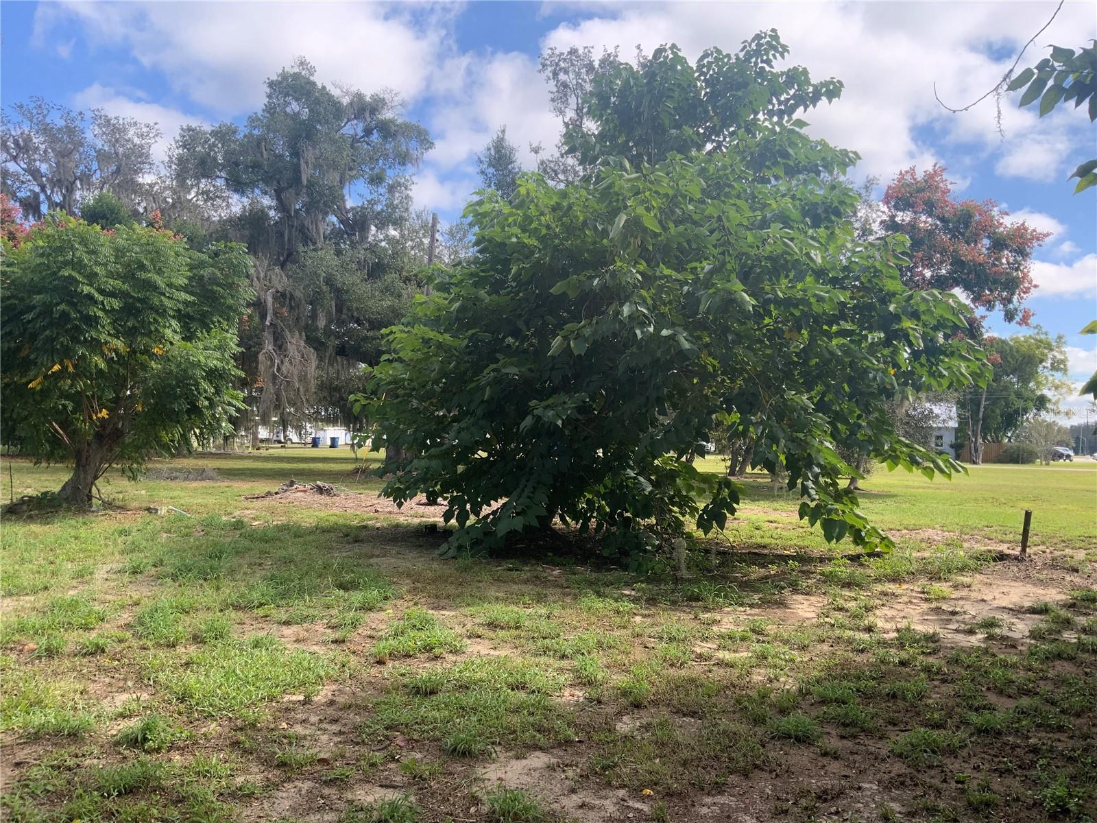 116 V MATT WILLIAMS BLVD, POLK CITY, FL, 33868