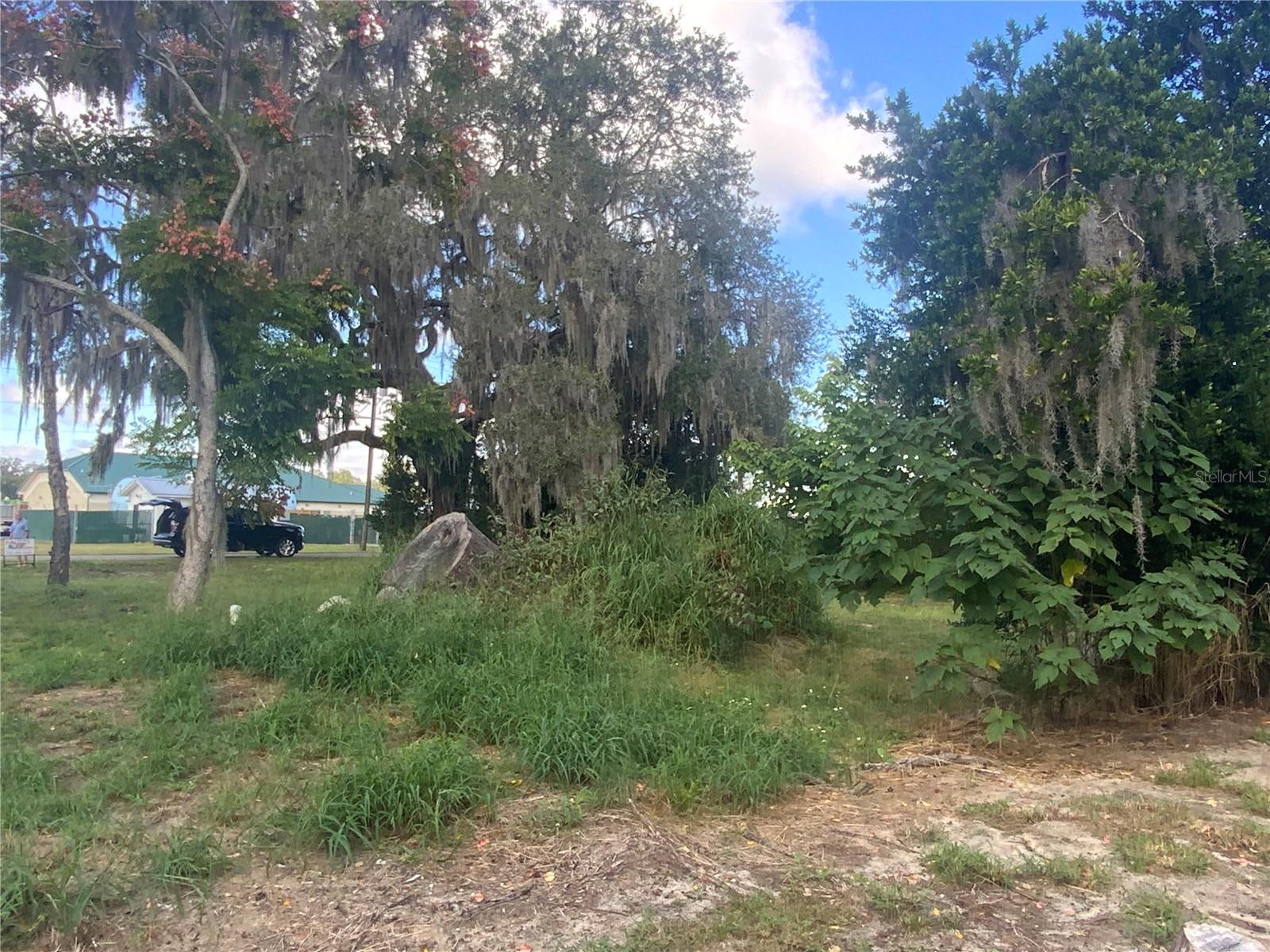 116 V MATT WILLIAMS BLVD, POLK CITY, FL, 33868