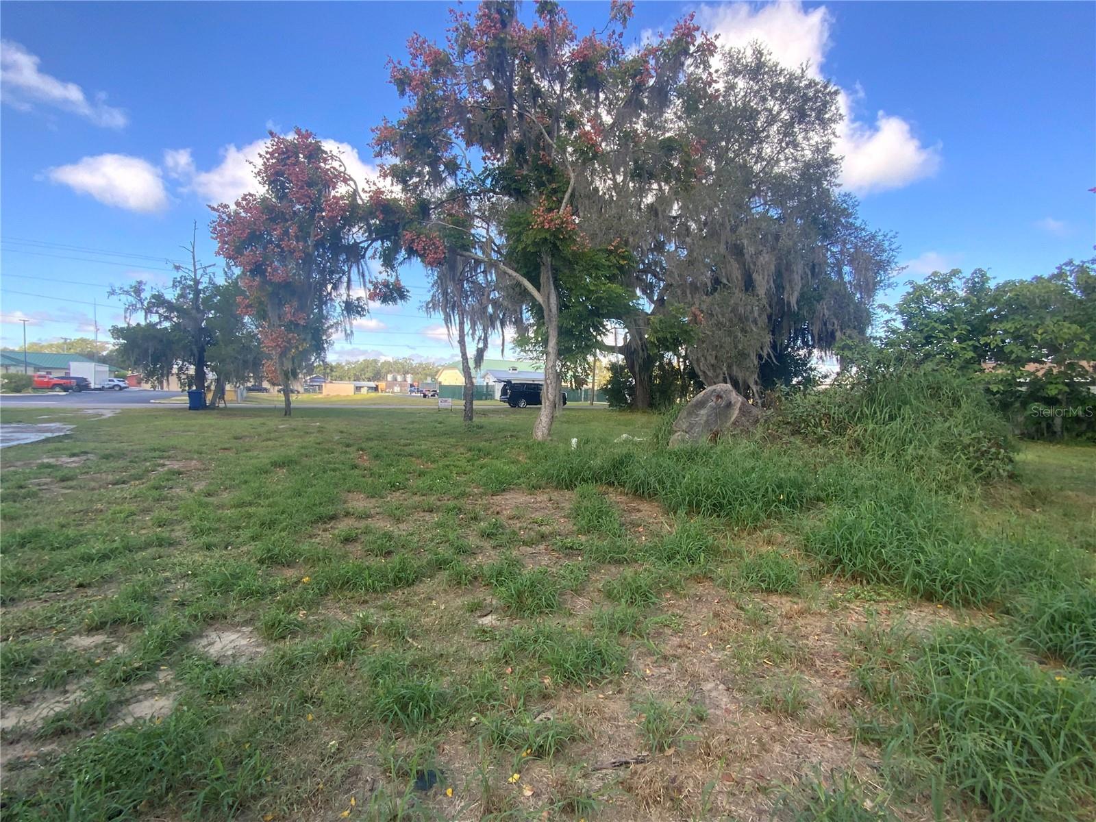 116 V MATT WILLIAMS BLVD, POLK CITY, FL, 33868