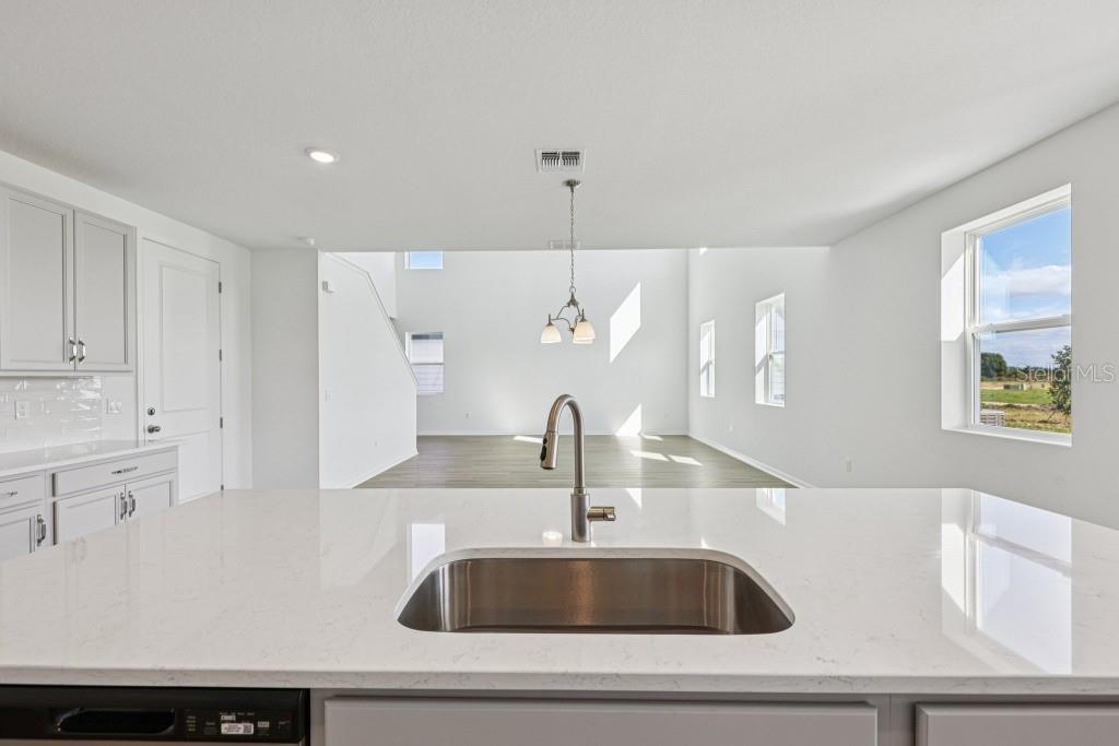 30121 MISTY PINES RD, MOUNT DORA, FL, 32757