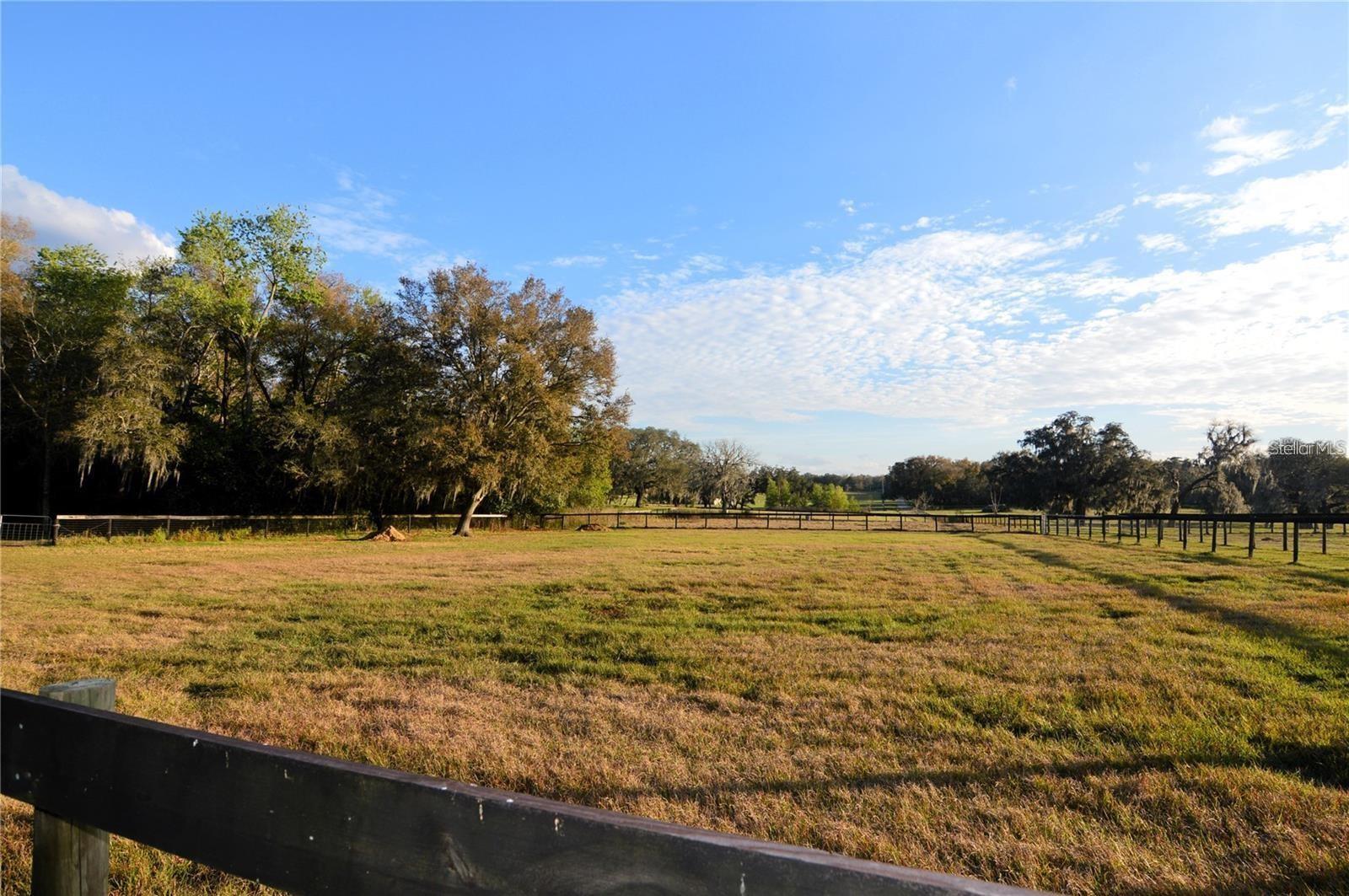 ARABIAN WAY, DADE CITY, FL, 33523