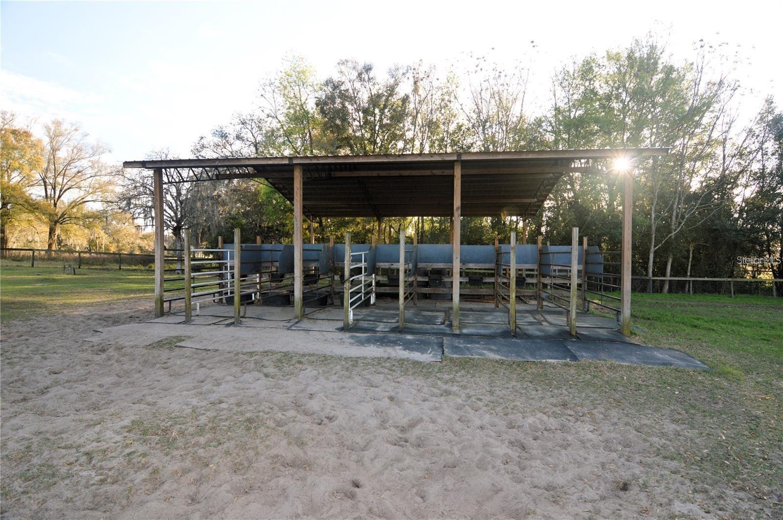 ARABIAN WAY, DADE CITY, FL, 33523