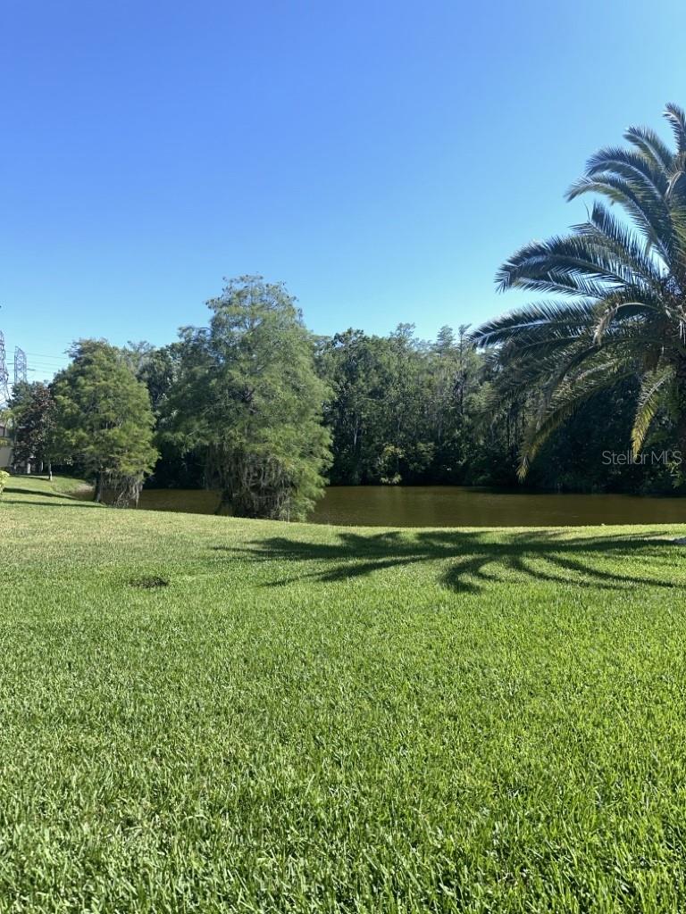 261 CYPRESS LN, OLDSMAR, FL, 34677