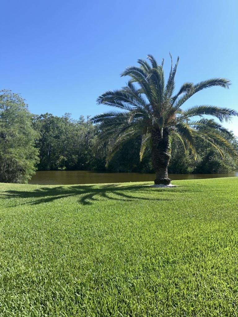 261 CYPRESS LN, OLDSMAR, FL, 34677