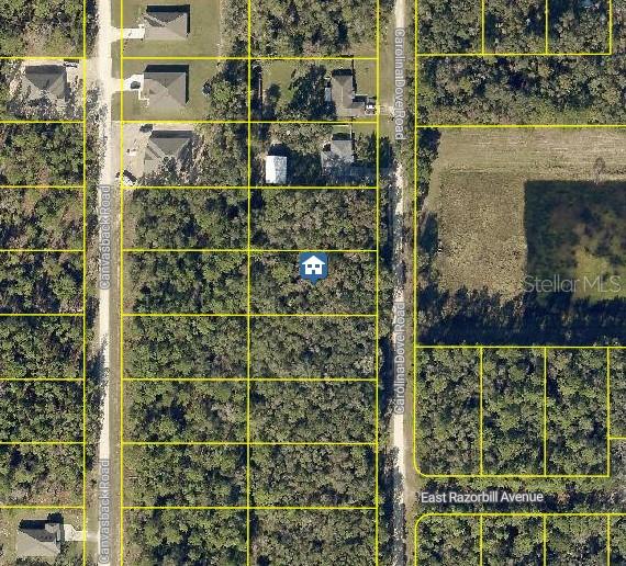 LOT 1021 CAROLINA DOVE RD, BROOKSVILLE, FL, 34614