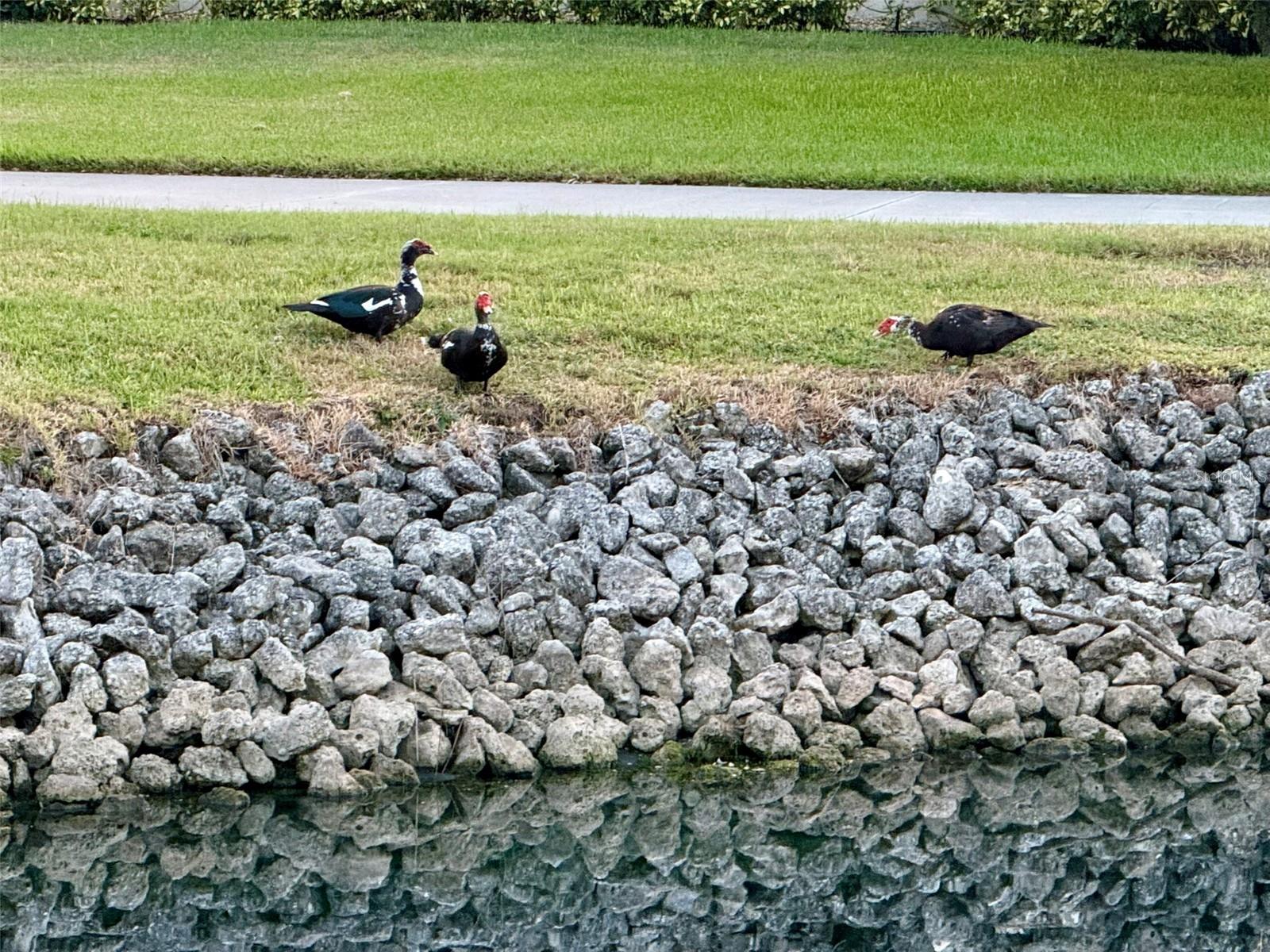 4683 WINSTON LN N #30, SARASOTA, FL, 34235