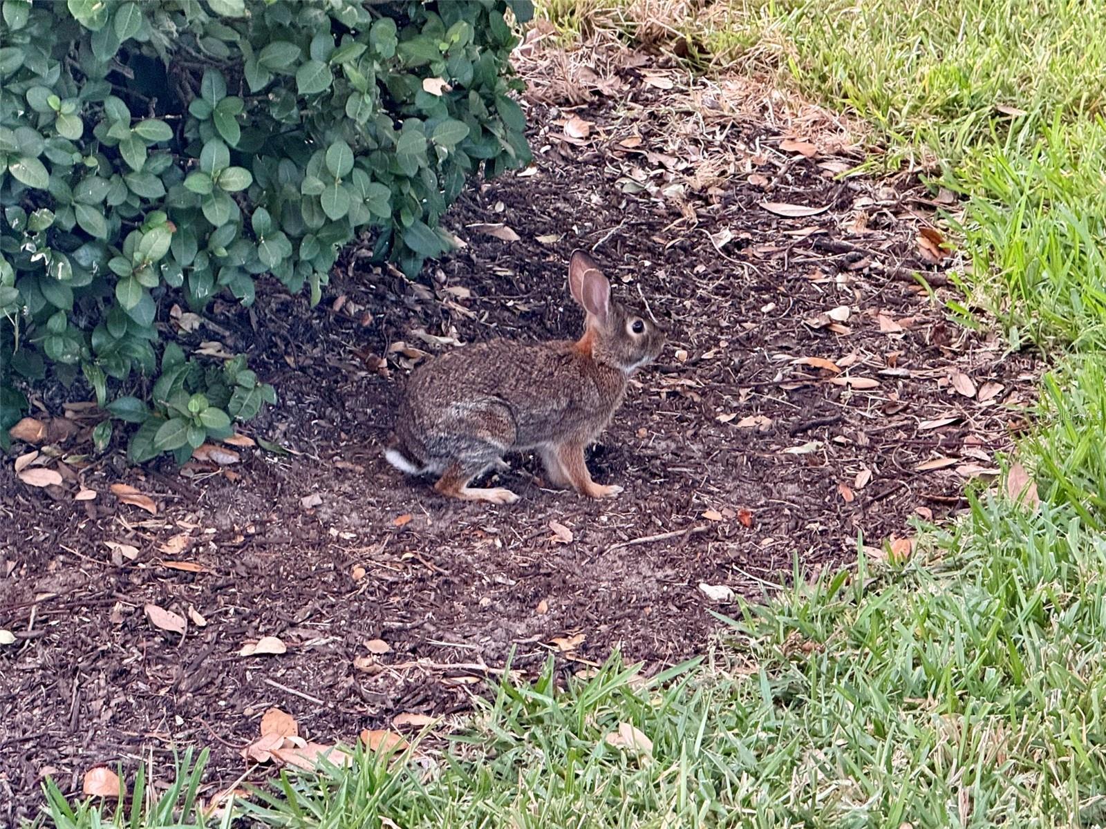 4683 WINSTON LN N #30, SARASOTA, FL, 34235