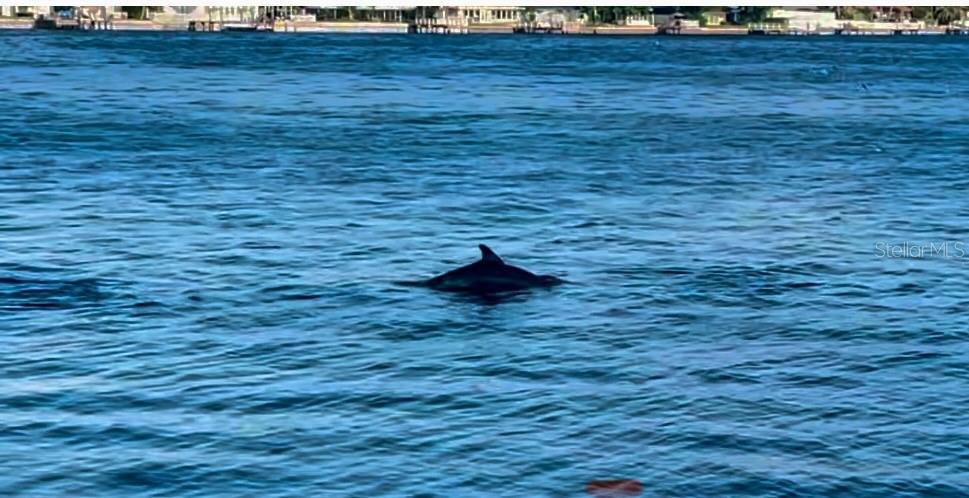 6265 SUN BLVD #101, ST PETERSBURG, FL, 33715