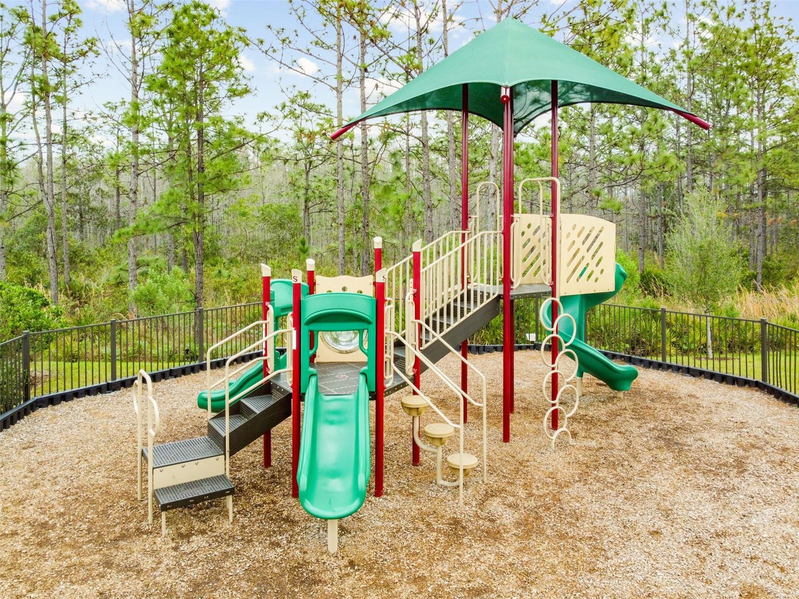 10050 BROWN BURROW ST, ORLANDO, FL, 32829