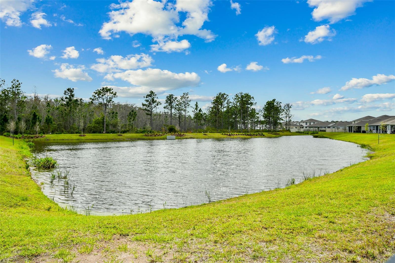 10050 BROWN BURROW ST, ORLANDO, FL, 32829