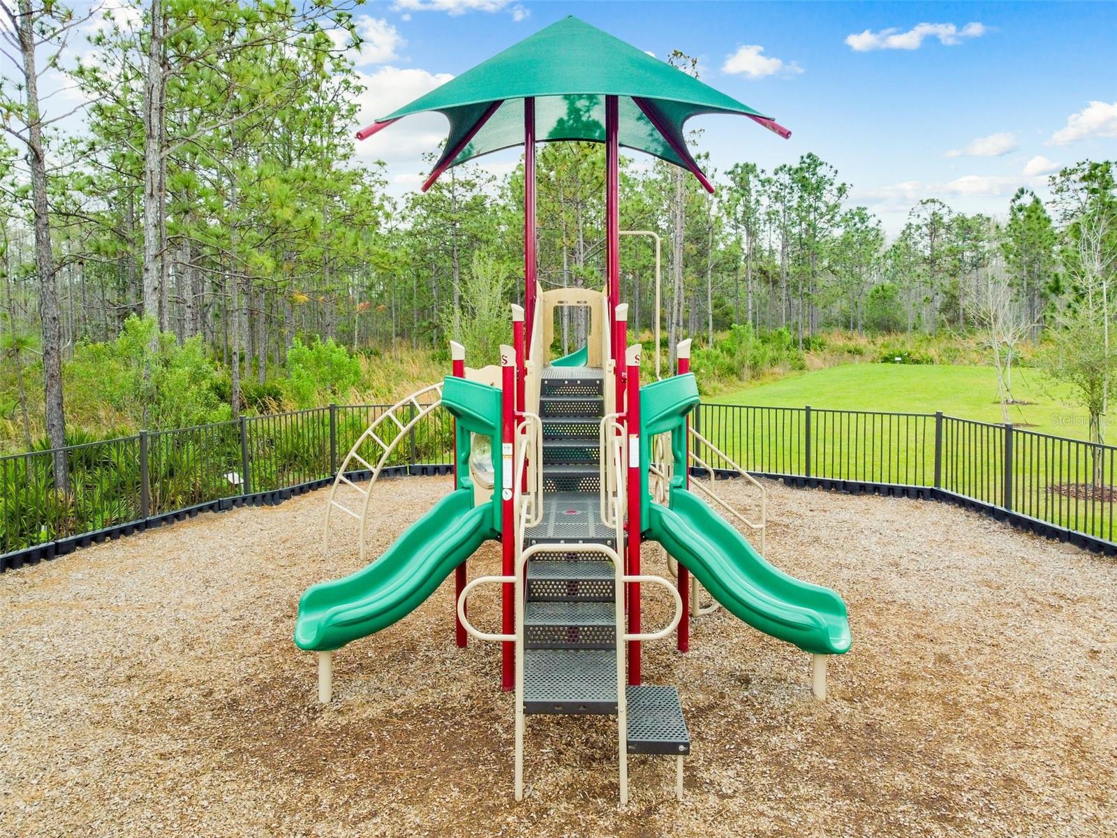 10050 BROWN BURROW ST, ORLANDO, FL, 32829