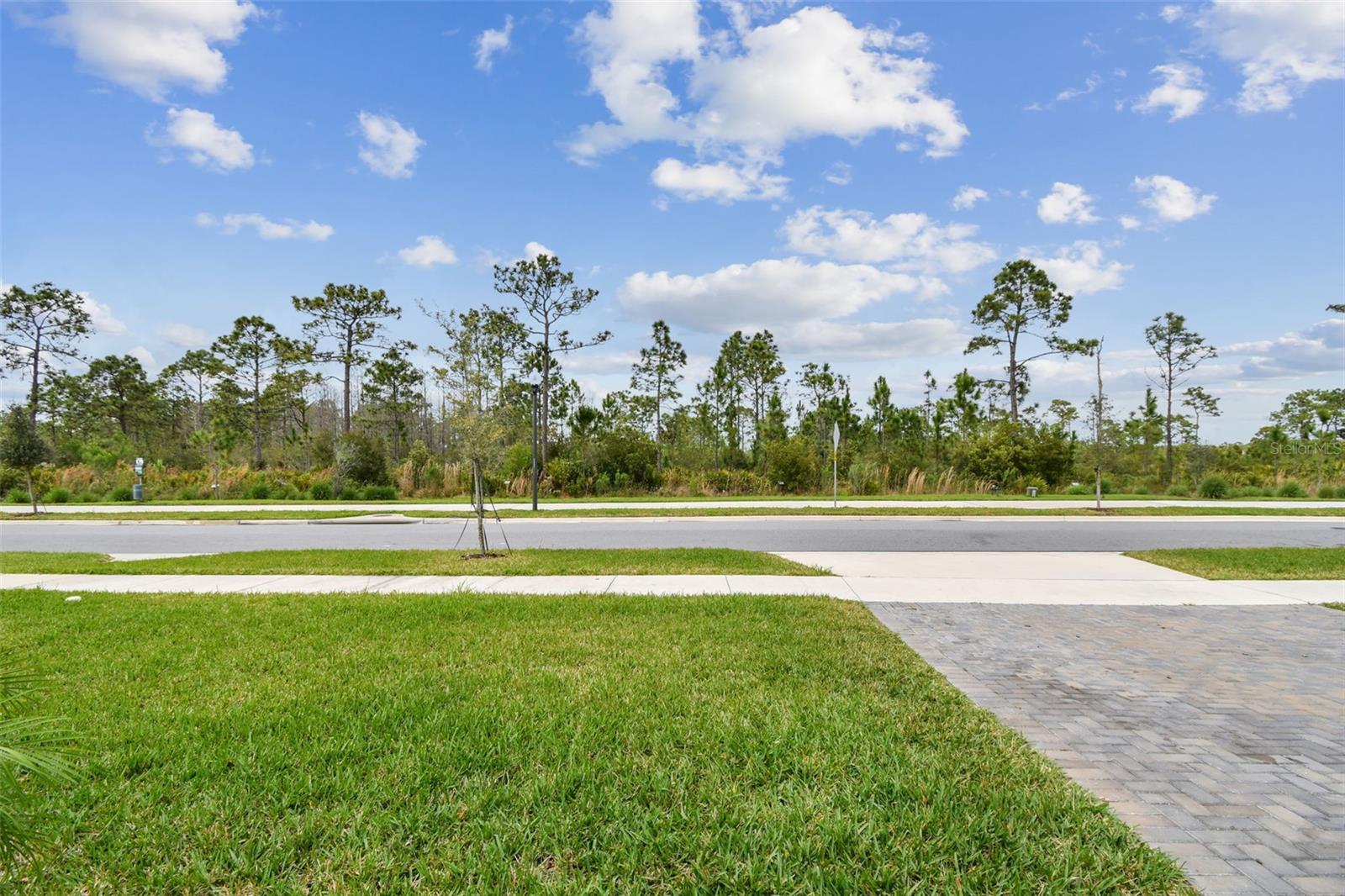 10050 BROWN BURROW ST, ORLANDO, FL, 32829