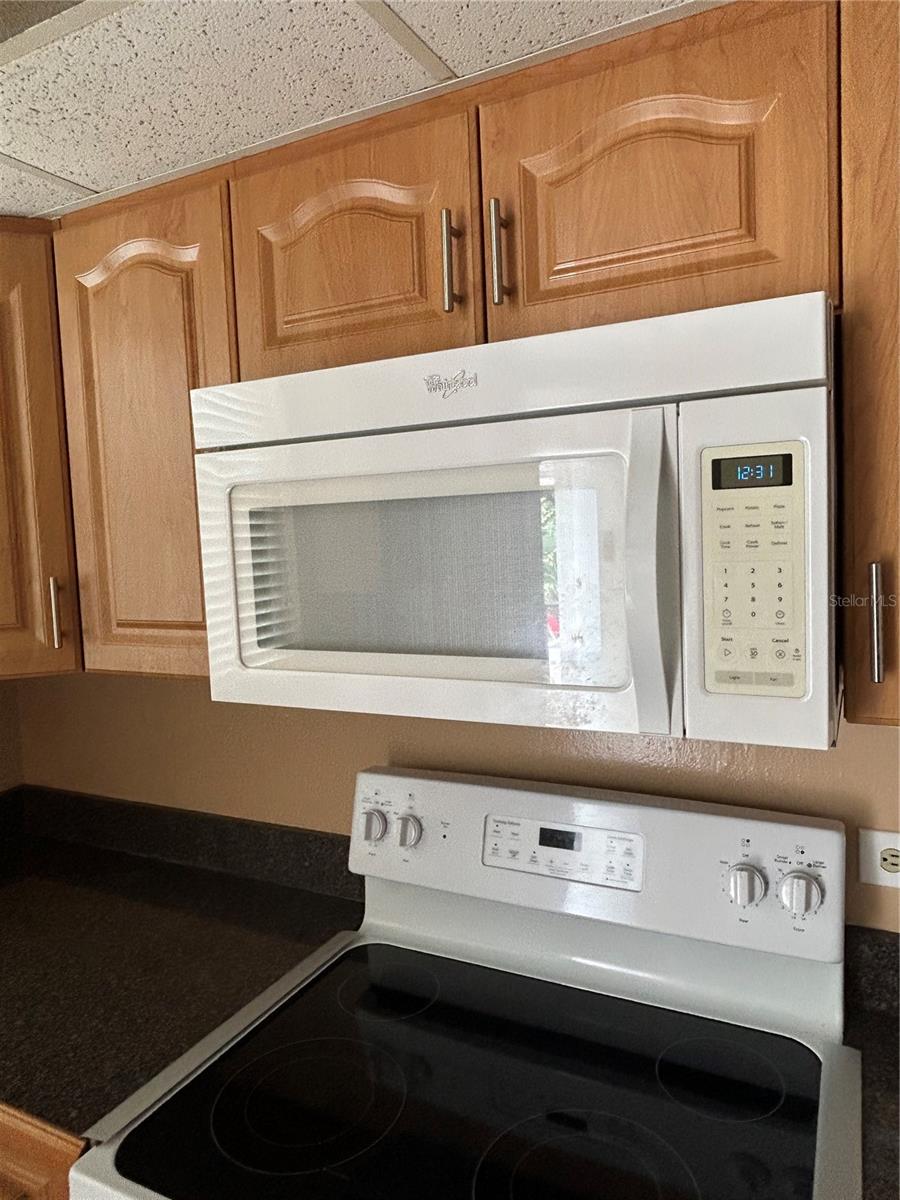 108 CLOCKTOWER DR #261, BRANDON, FL, 33510