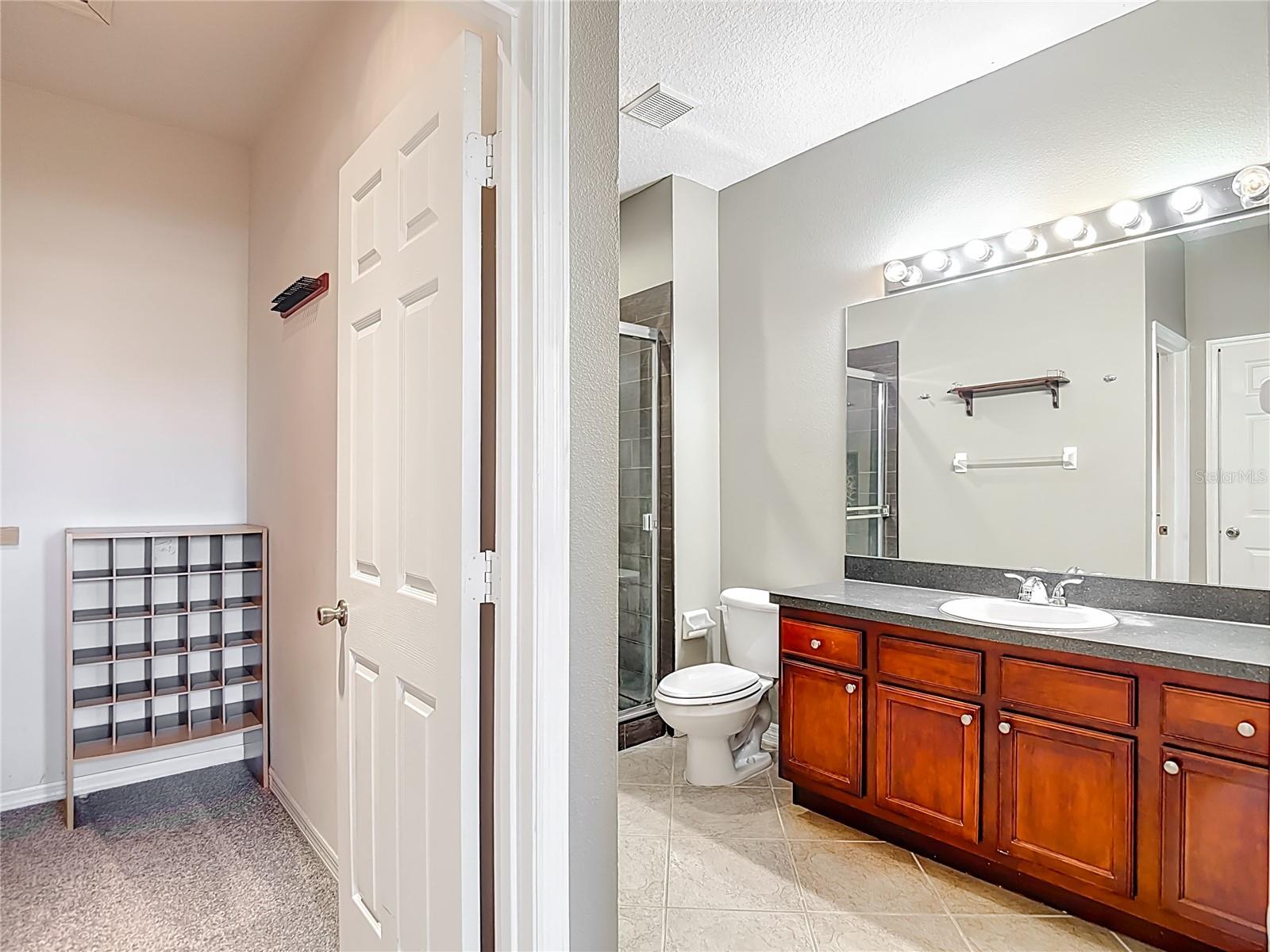 1046 TULLAMORE DR, WESLEY CHAPEL, FL, 33543