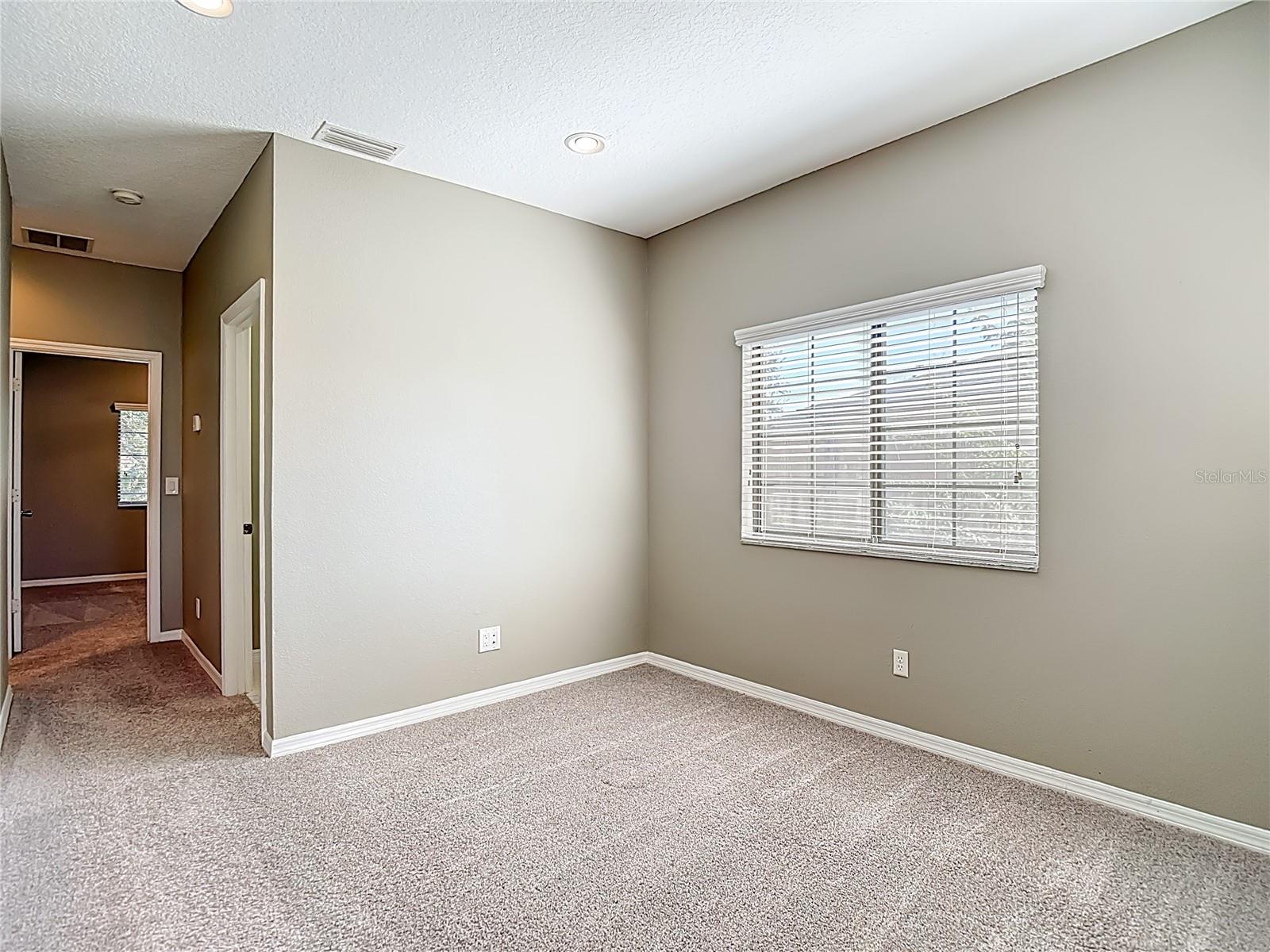 1046 TULLAMORE DR, WESLEY CHAPEL, FL, 33543