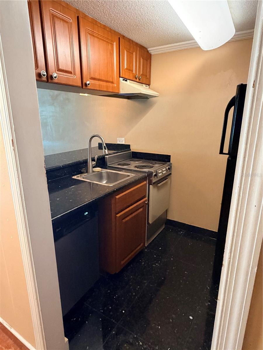 36750 US HIGHWAY 19 N #6-104, PALM HARBOR, FL, 34683