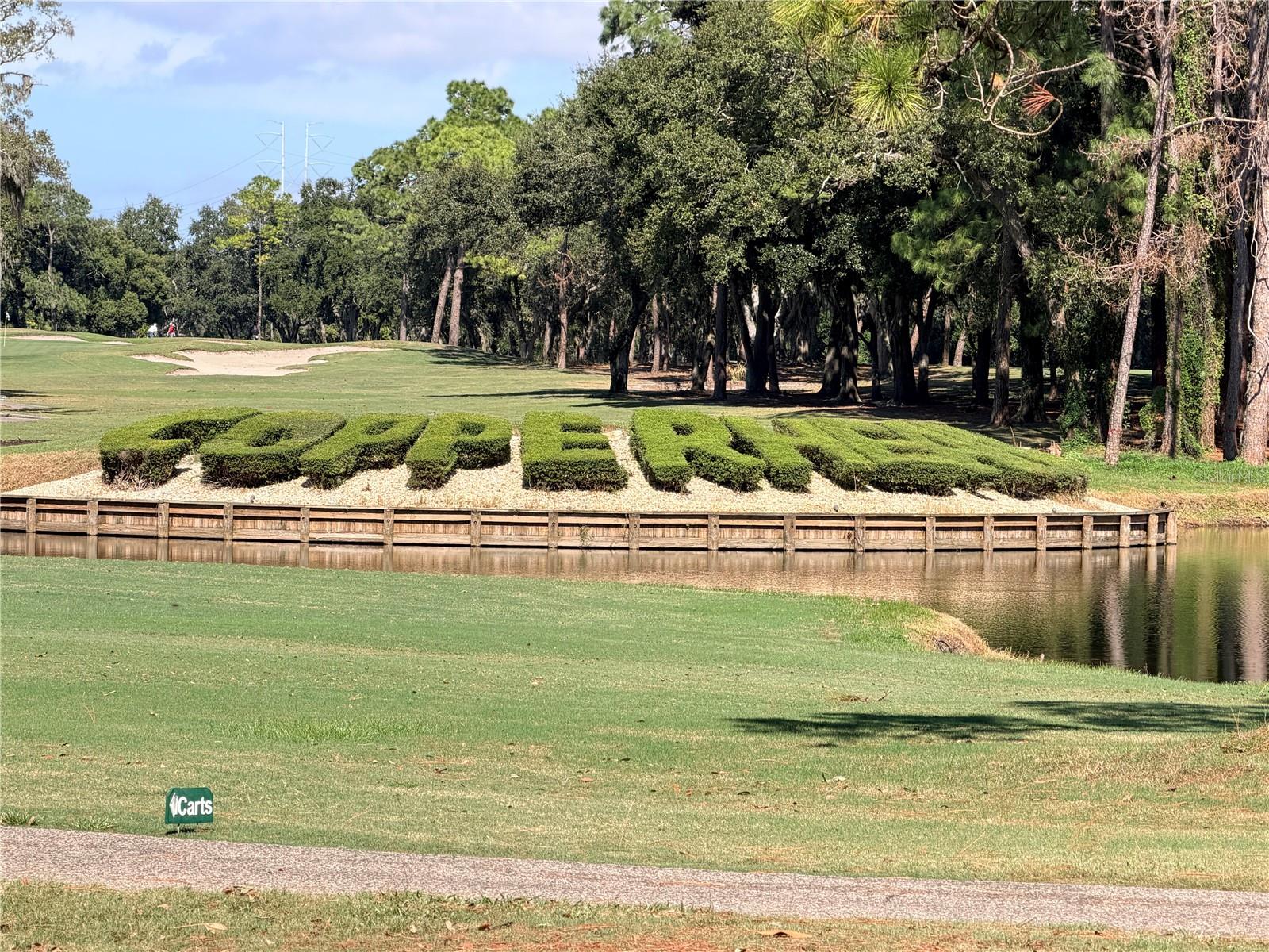 36750 US HIGHWAY 19 N #6-104, PALM HARBOR, FL, 34683