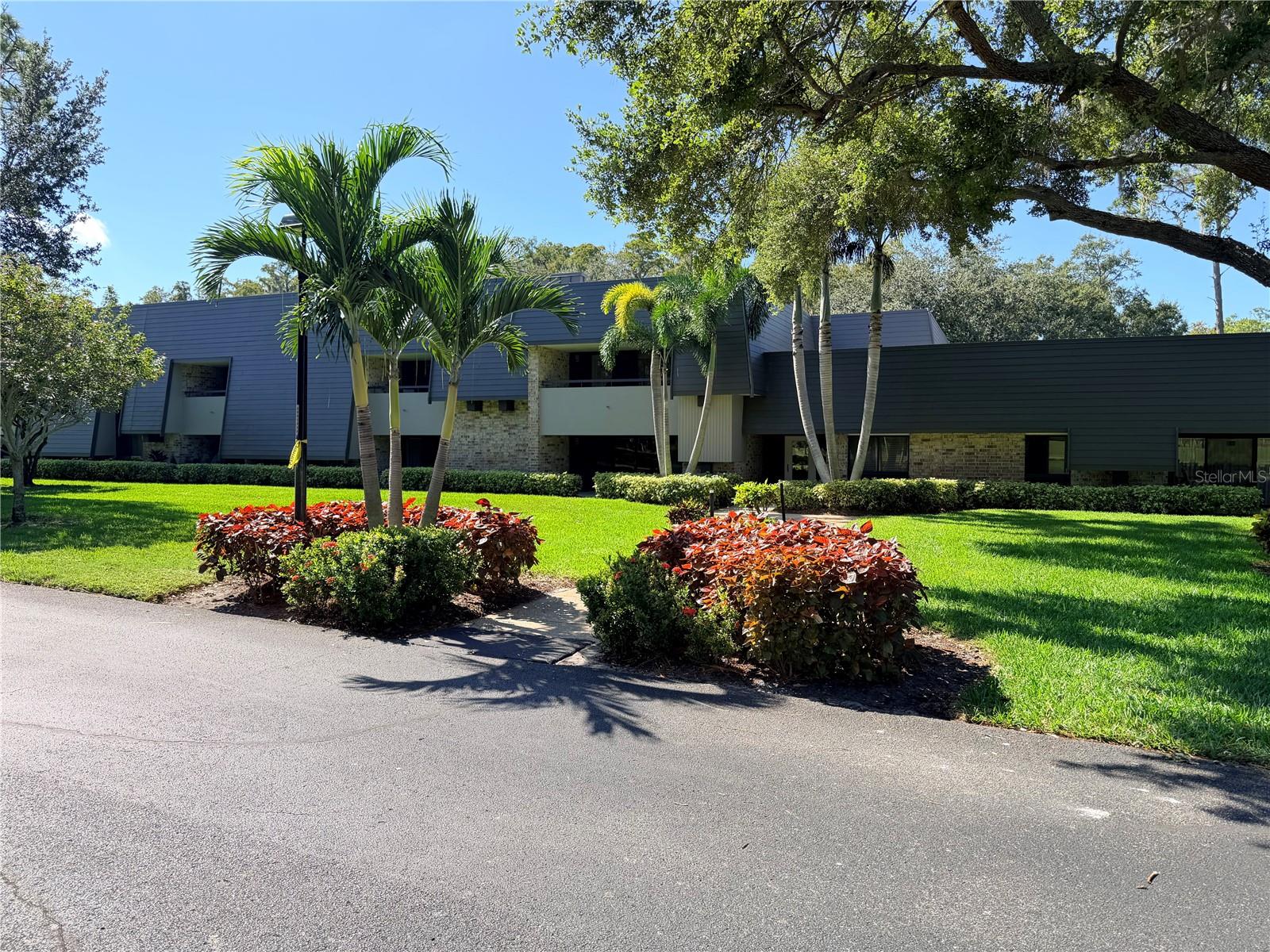 36750 US HIGHWAY 19 N #6-104, PALM HARBOR, FL, 34683