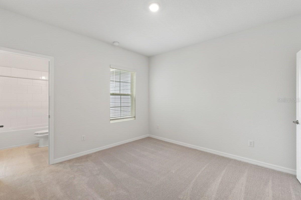 3664 CLAY POT DR, LAND O LAKES, FL, 34638