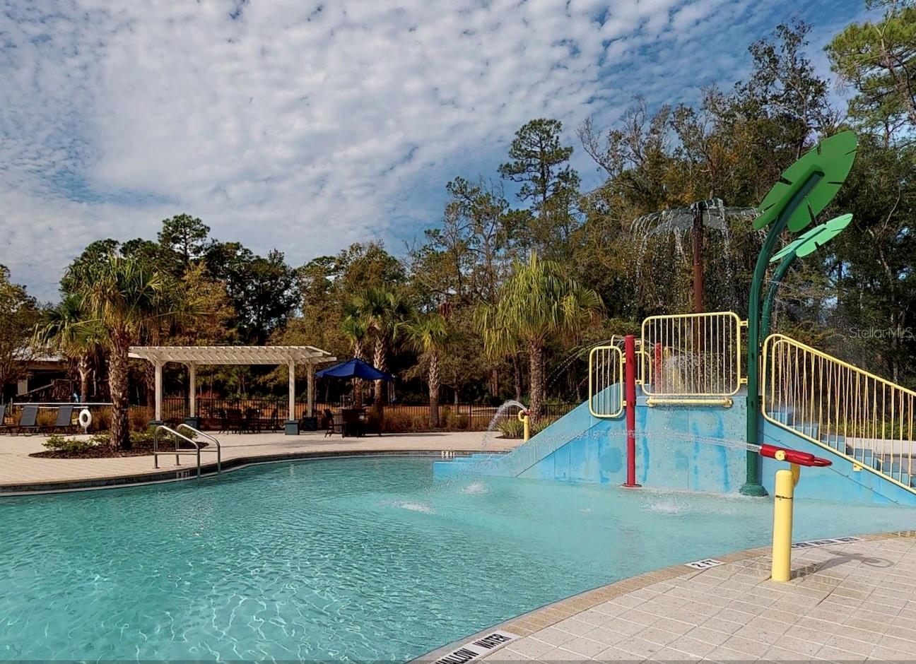 3664 CLAY POT DR, LAND O LAKES, FL, 34638