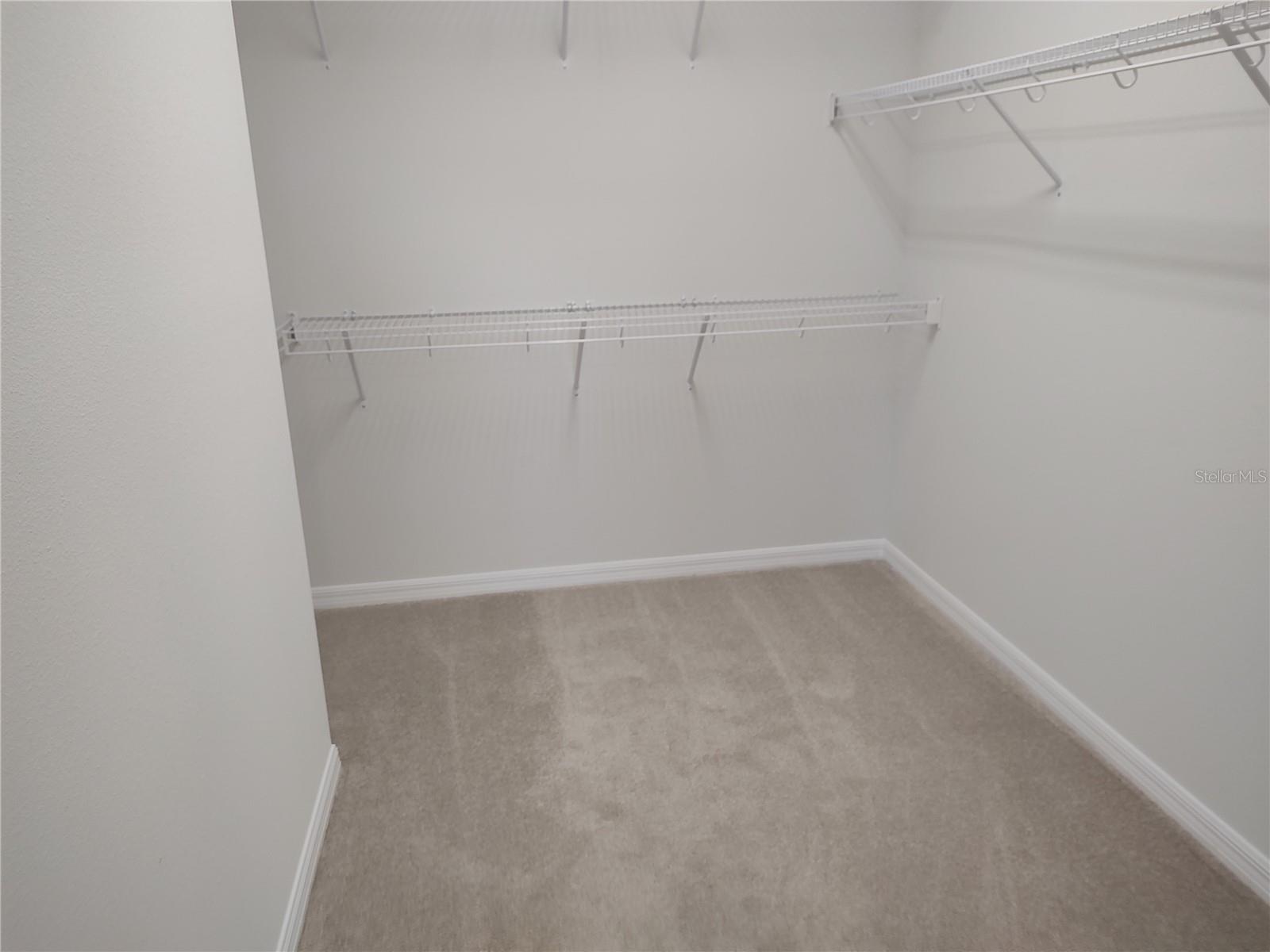 3664 CLAY POT DR, LAND O LAKES, FL, 34638