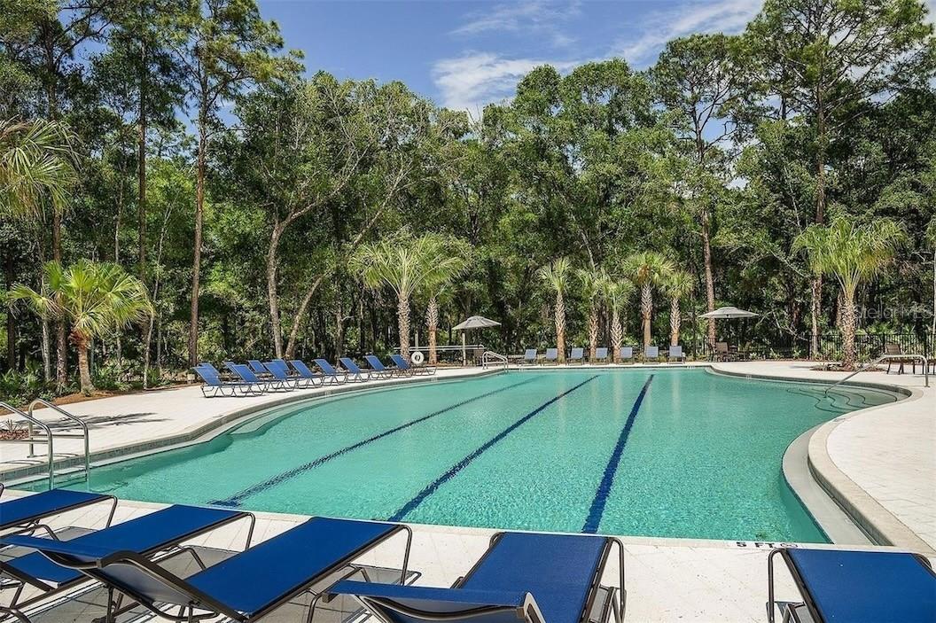 3664 CLAY POT DR, LAND O LAKES, FL, 34638