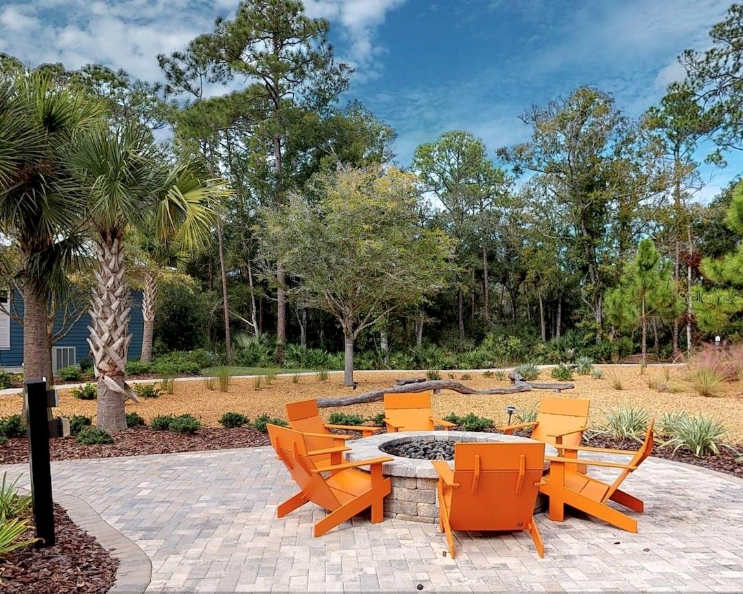 3664 CLAY POT DR, LAND O LAKES, FL, 34638