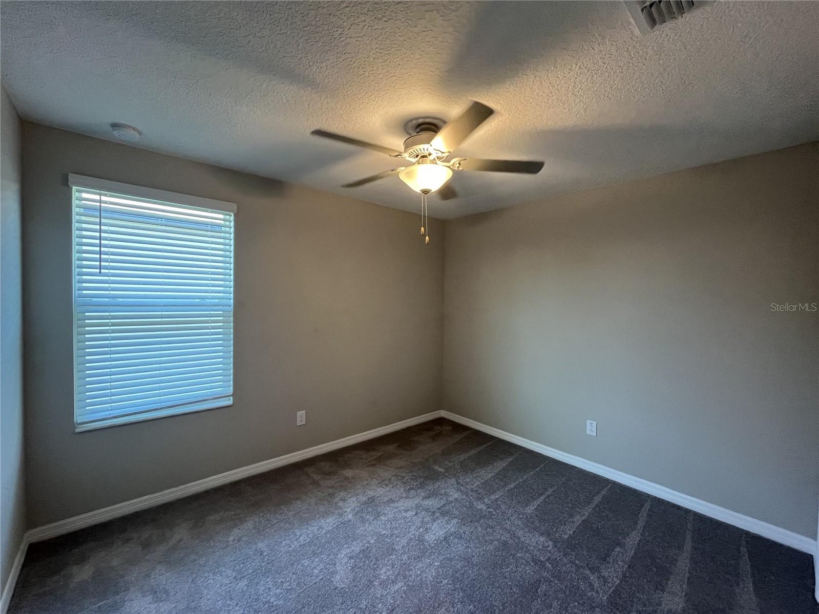 241 ARGYLL DR, SPRING HILL, FL, 34609