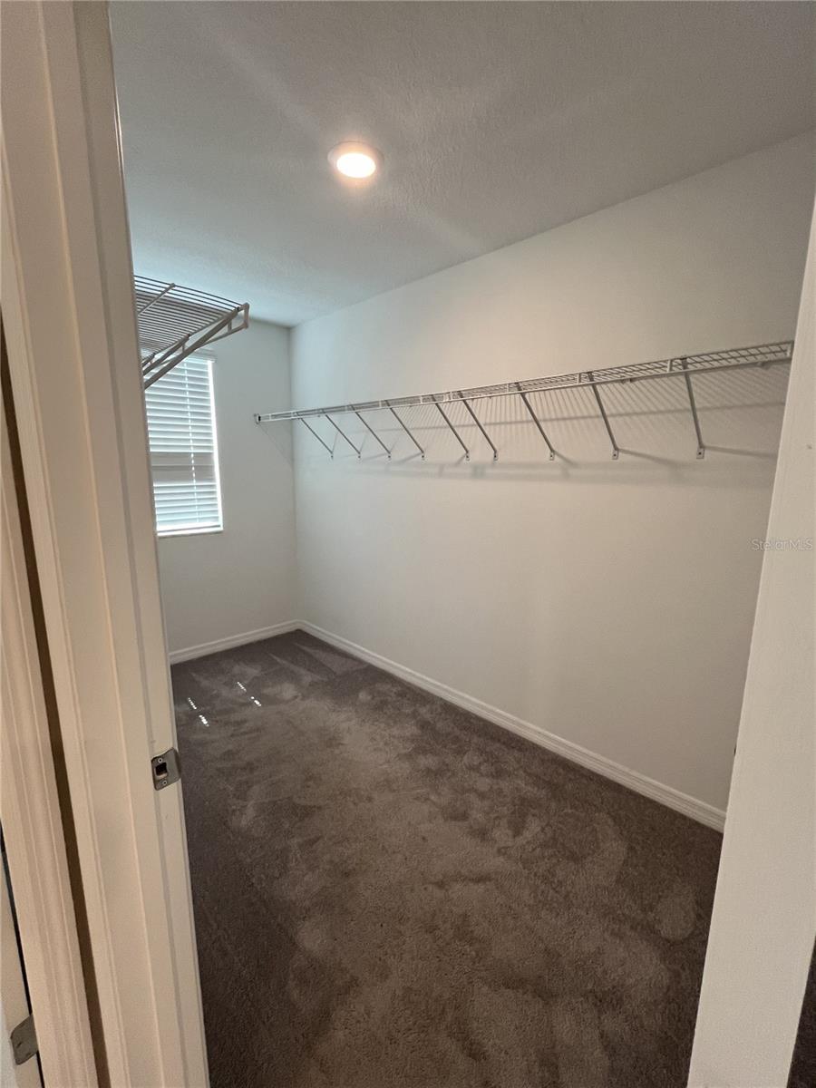 241 ARGYLL DR, SPRING HILL, FL, 34609