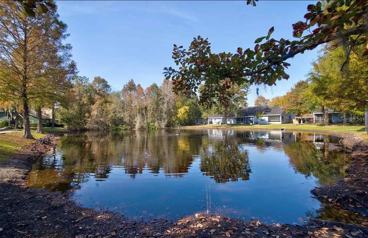 346 NW 50 BLVD #346, GAINESVILLE, FL, 32607