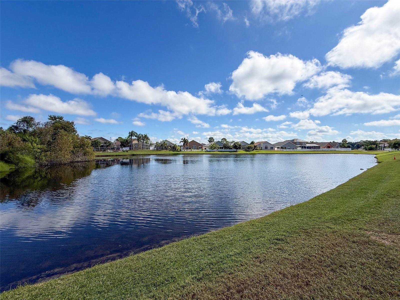 2422 WOOD POINTE DR, HOLIDAY, FL, 34691