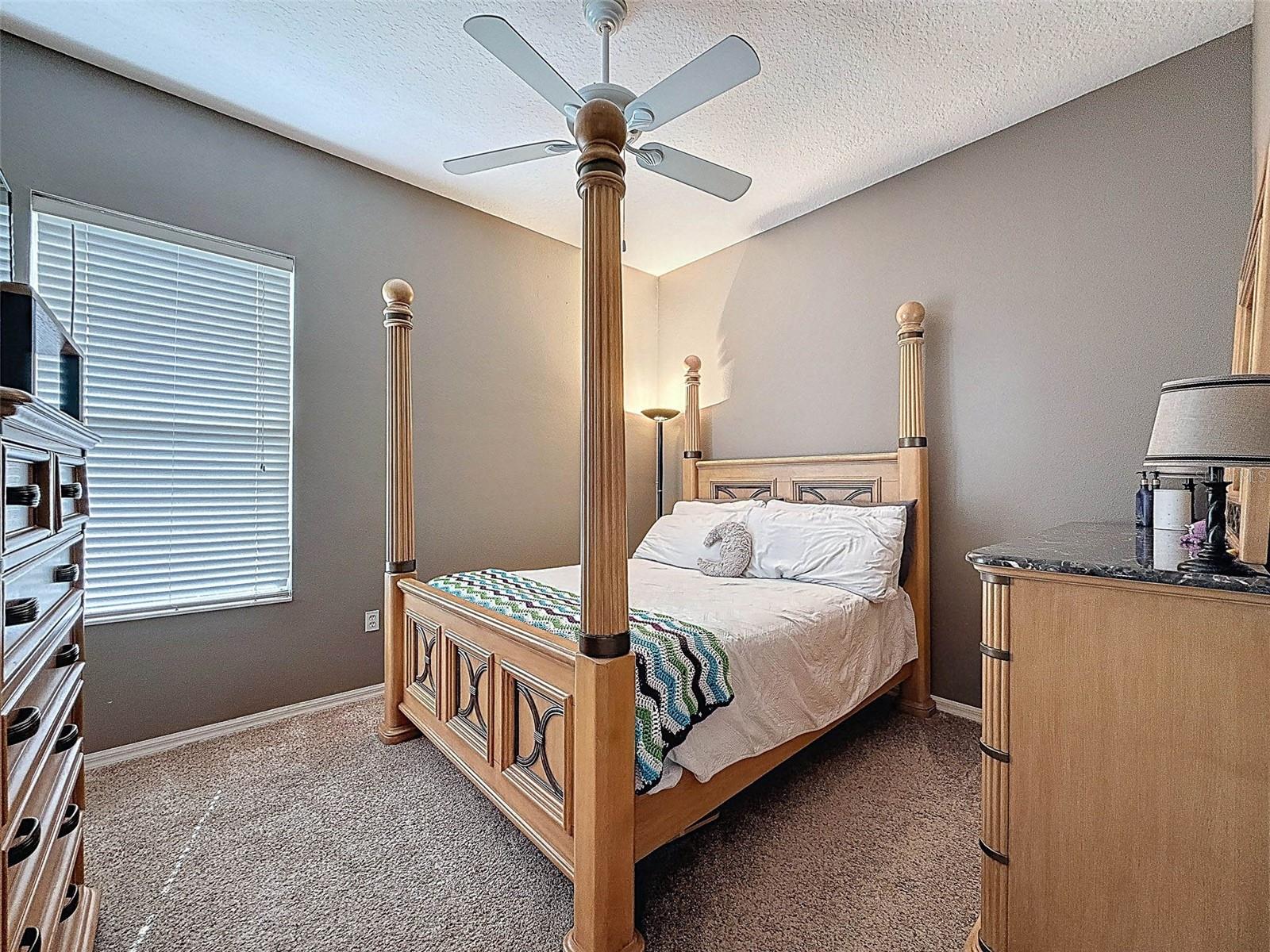 2422 WOOD POINTE DR, HOLIDAY, FL, 34691