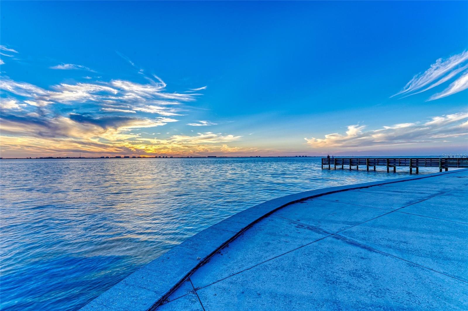 3645 CALLIANDRA DR, SARASOTA, FL, 34232