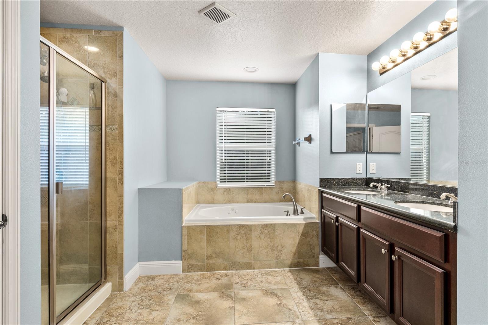 30331 TOKARA TER, MOUNT DORA, FL, 32757