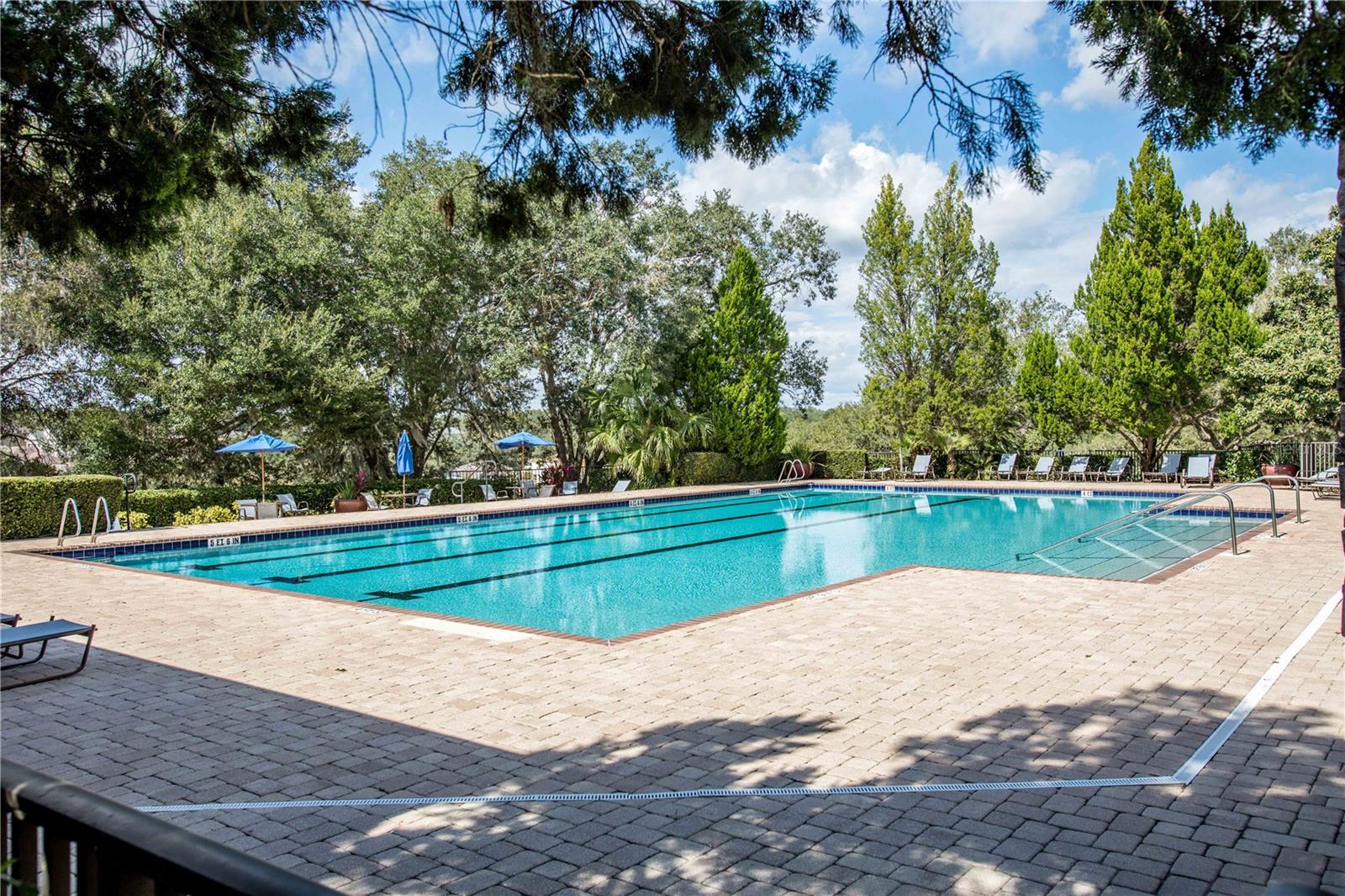 30331 TOKARA TER, MOUNT DORA, FL, 32757