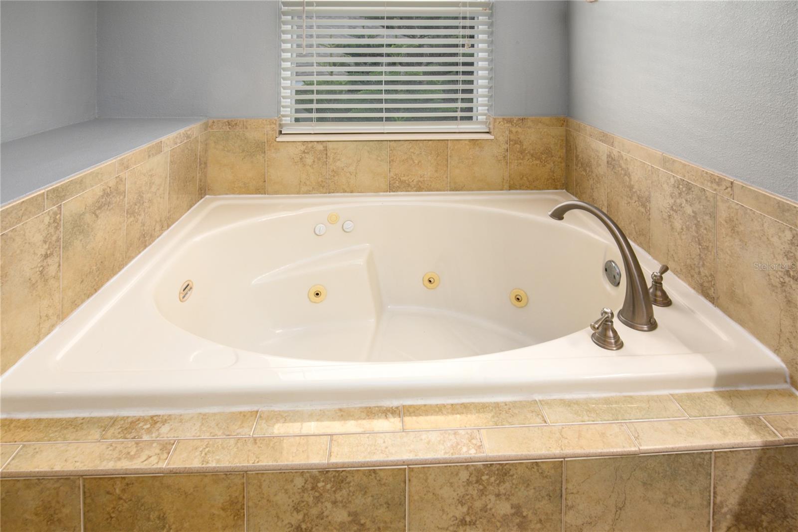 30331 TOKARA TER, MOUNT DORA, FL, 32757