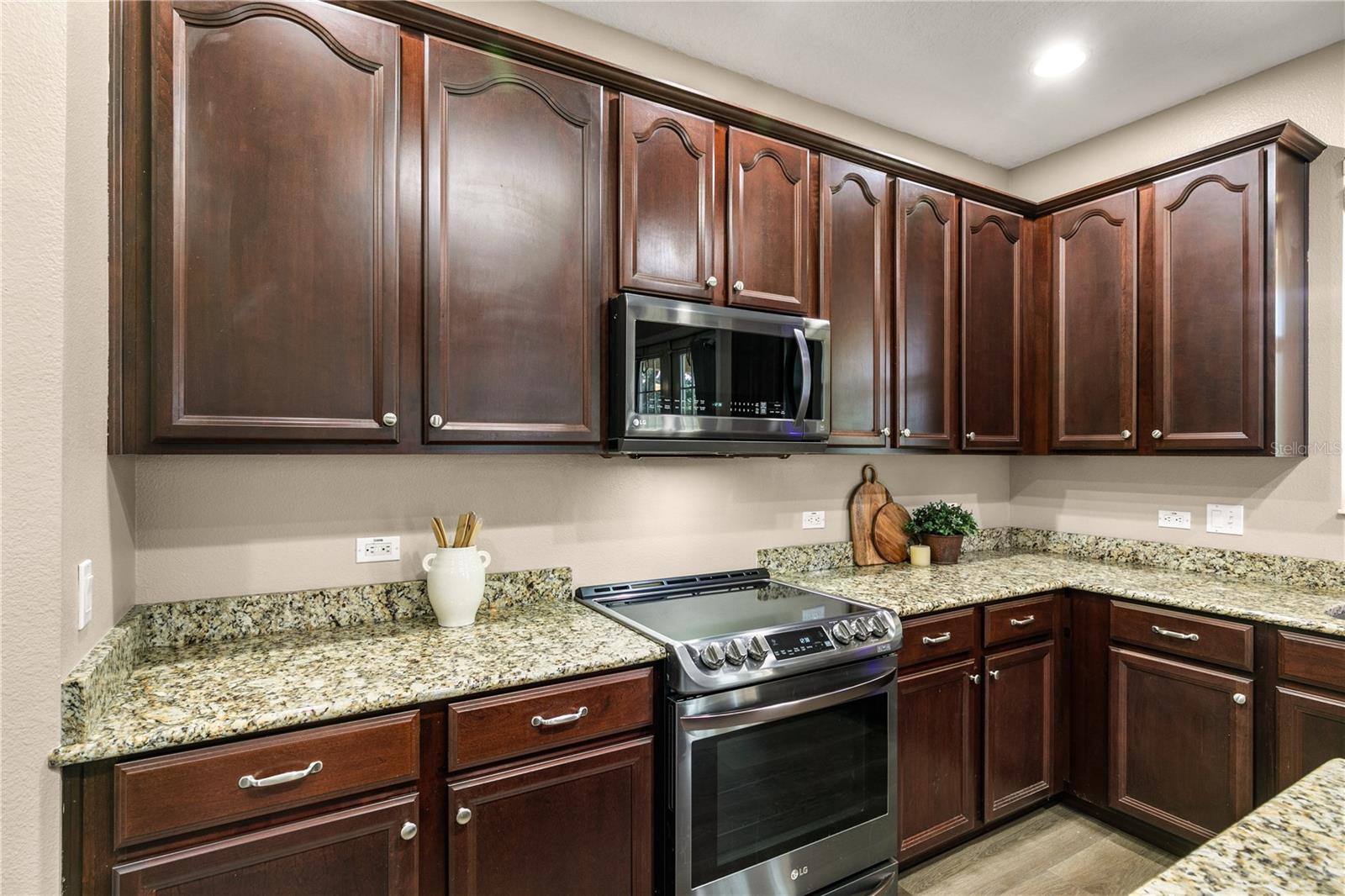 30331 TOKARA TER, MOUNT DORA, FL, 32757