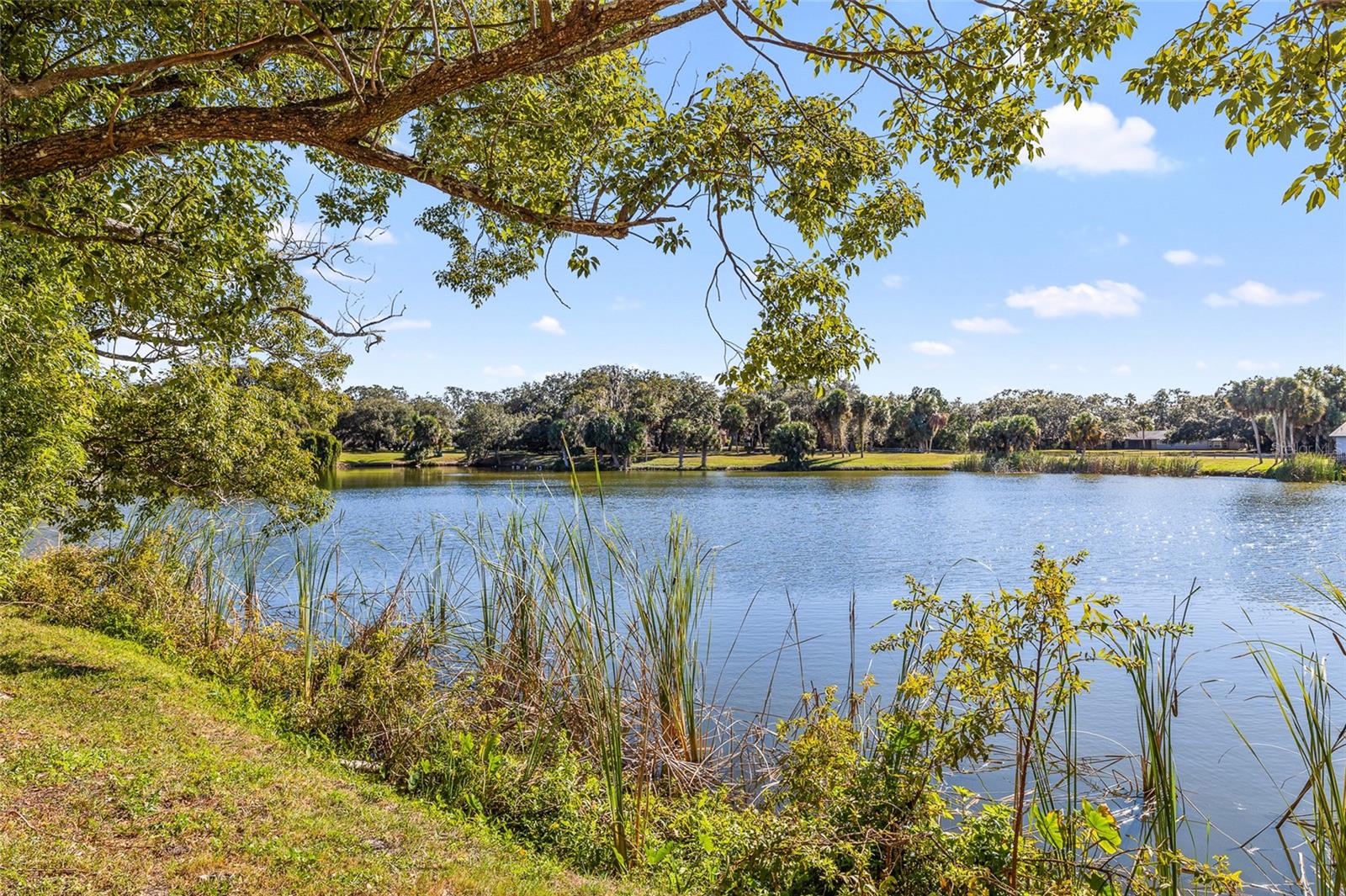 7415 LAKE FOREST CIR, PORT RICHEY, FL, 34668