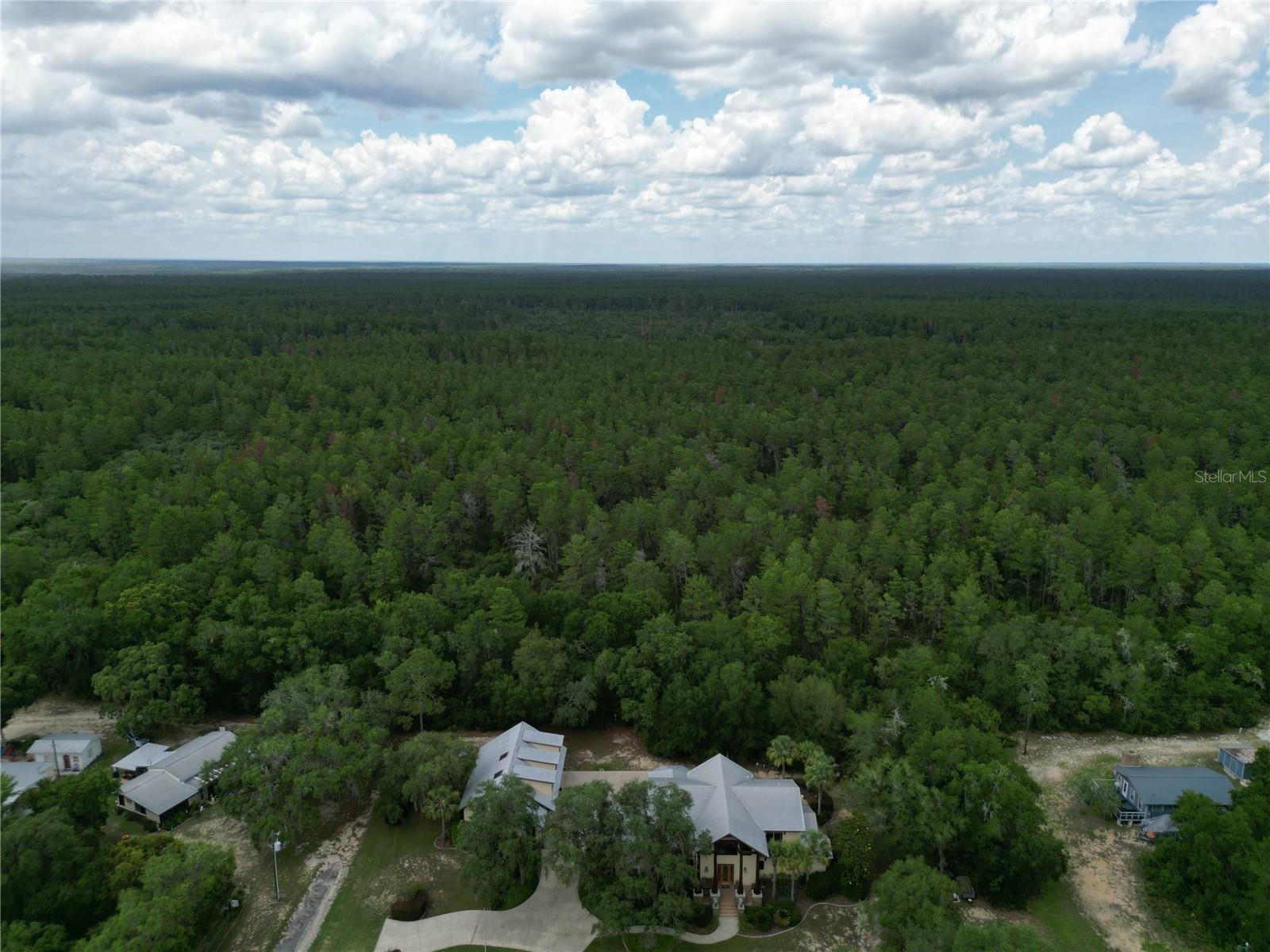 15225 NE 246TH AVE, SALT SPRINGS, FL, 32134