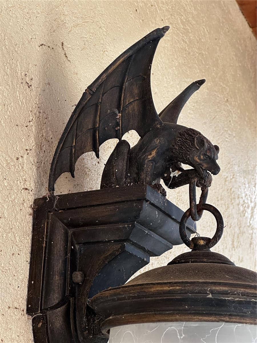 15225 NE 246TH AVE, SALT SPRINGS, FL, 32134