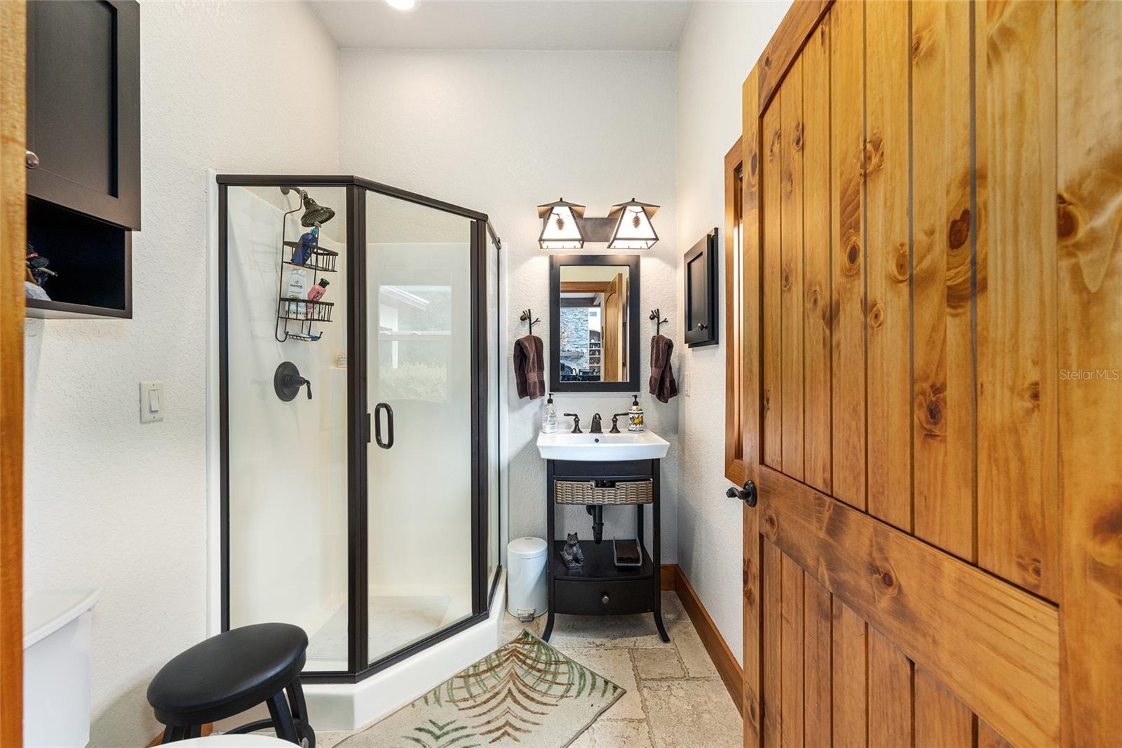 15225 NE 246TH AVE, SALT SPRINGS, FL, 32134