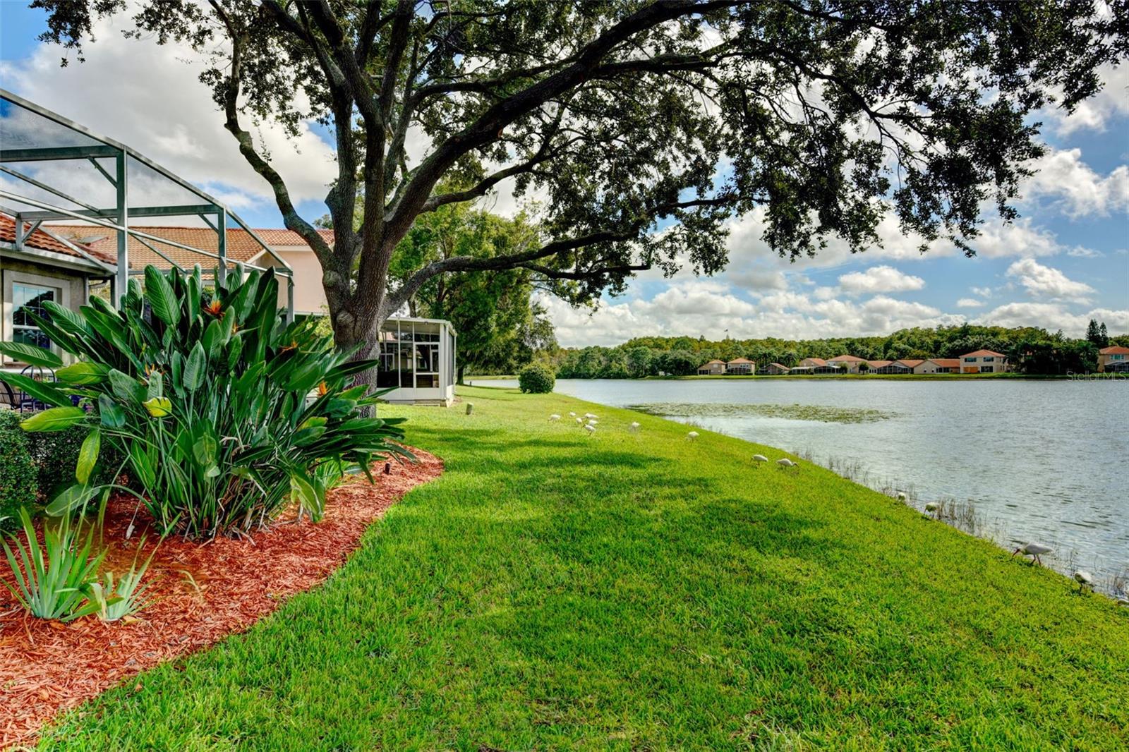 5114 WATERVISTA DR, ORLANDO, FL, 32821