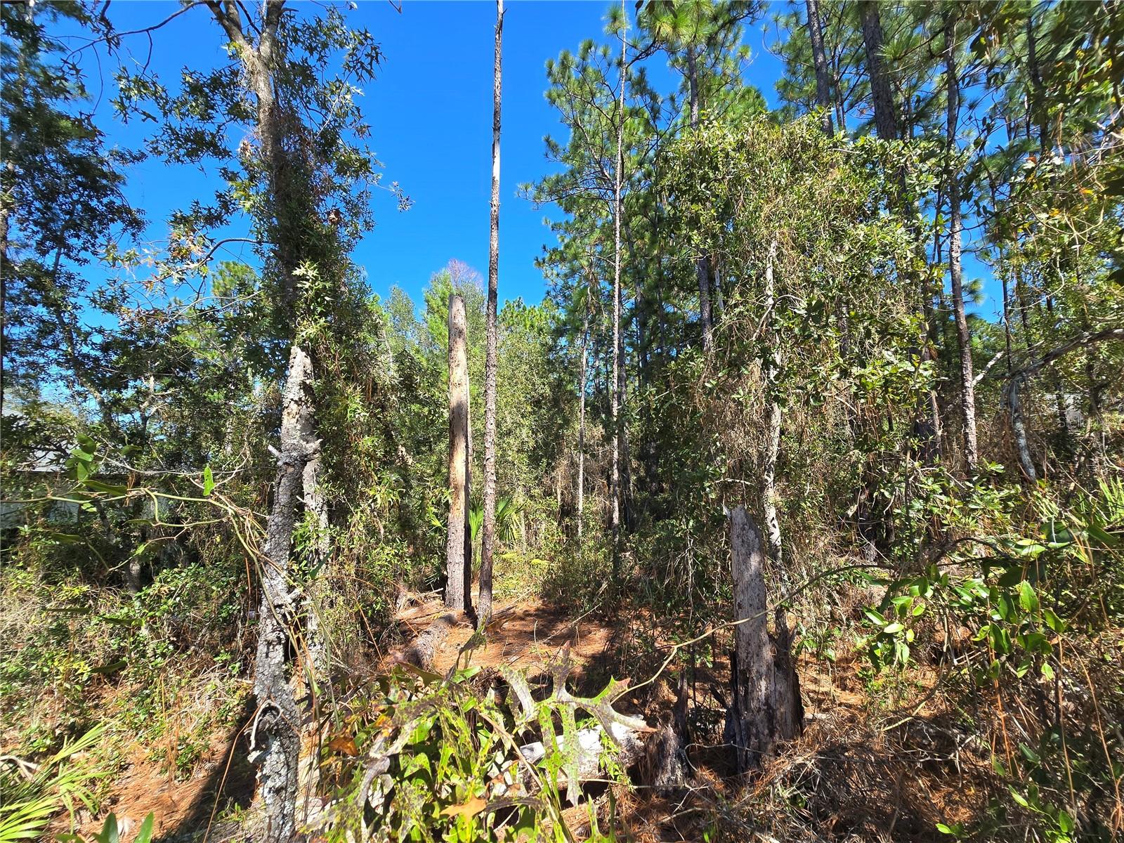 Lot 2 8247 SW 138TH ST, OCALA, FL, 34473